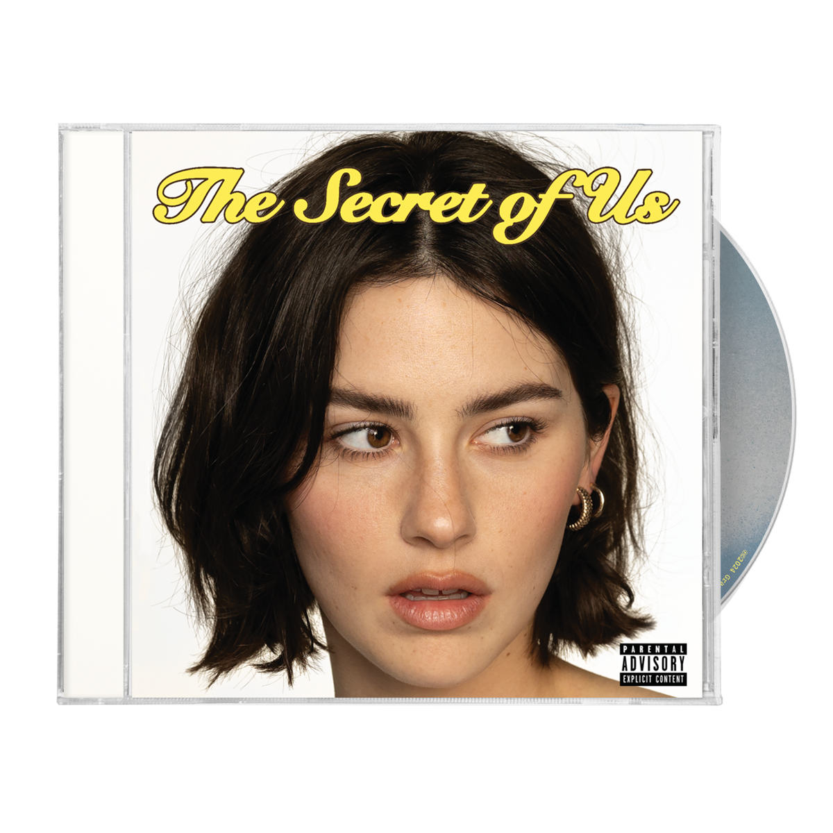 The Secret Of Us: Yellow Vinyl LP, CD, Risk / Close To You 7" Single + Signed Art Card