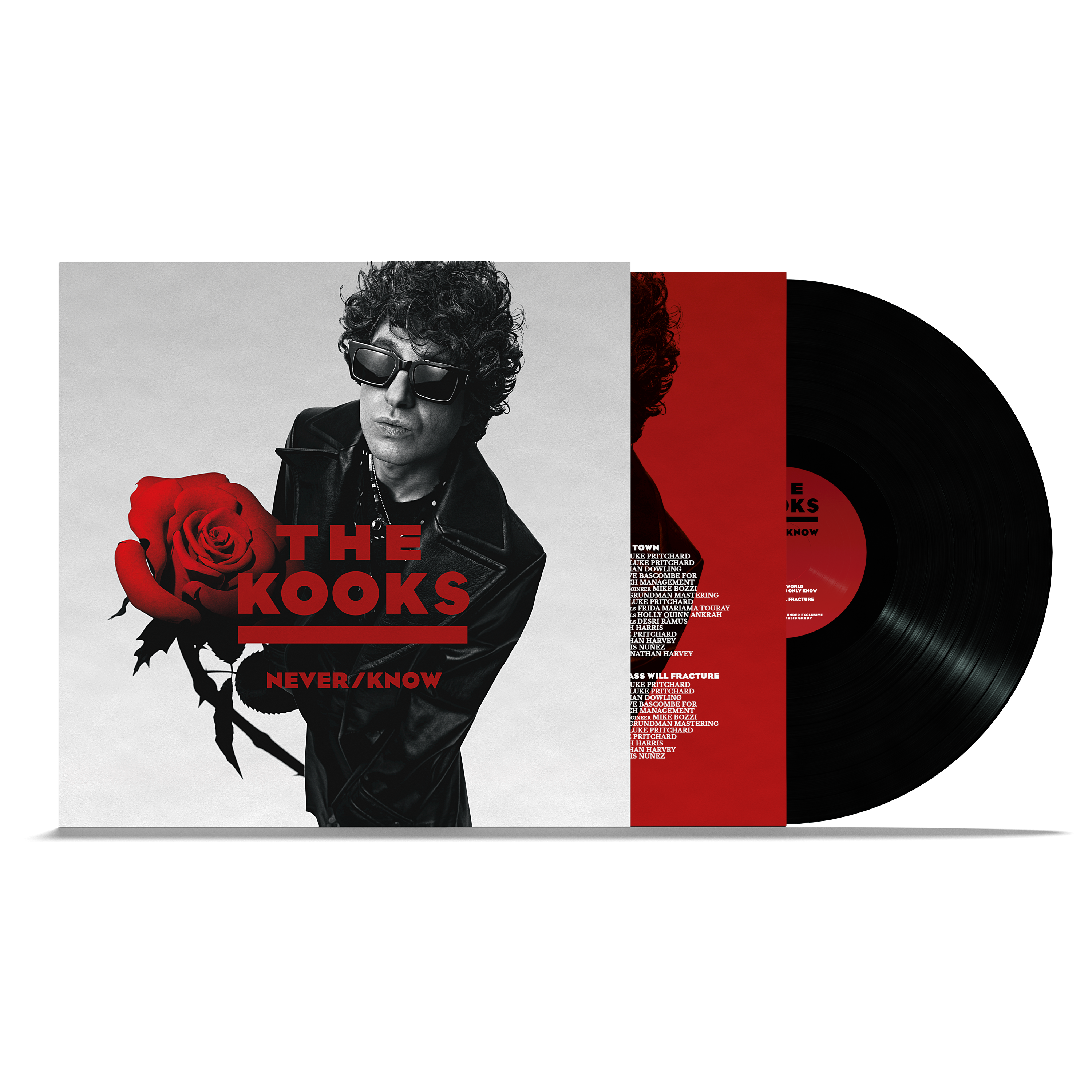 The Kooks - Never/Know: Black Vinyl LP - Recordstore