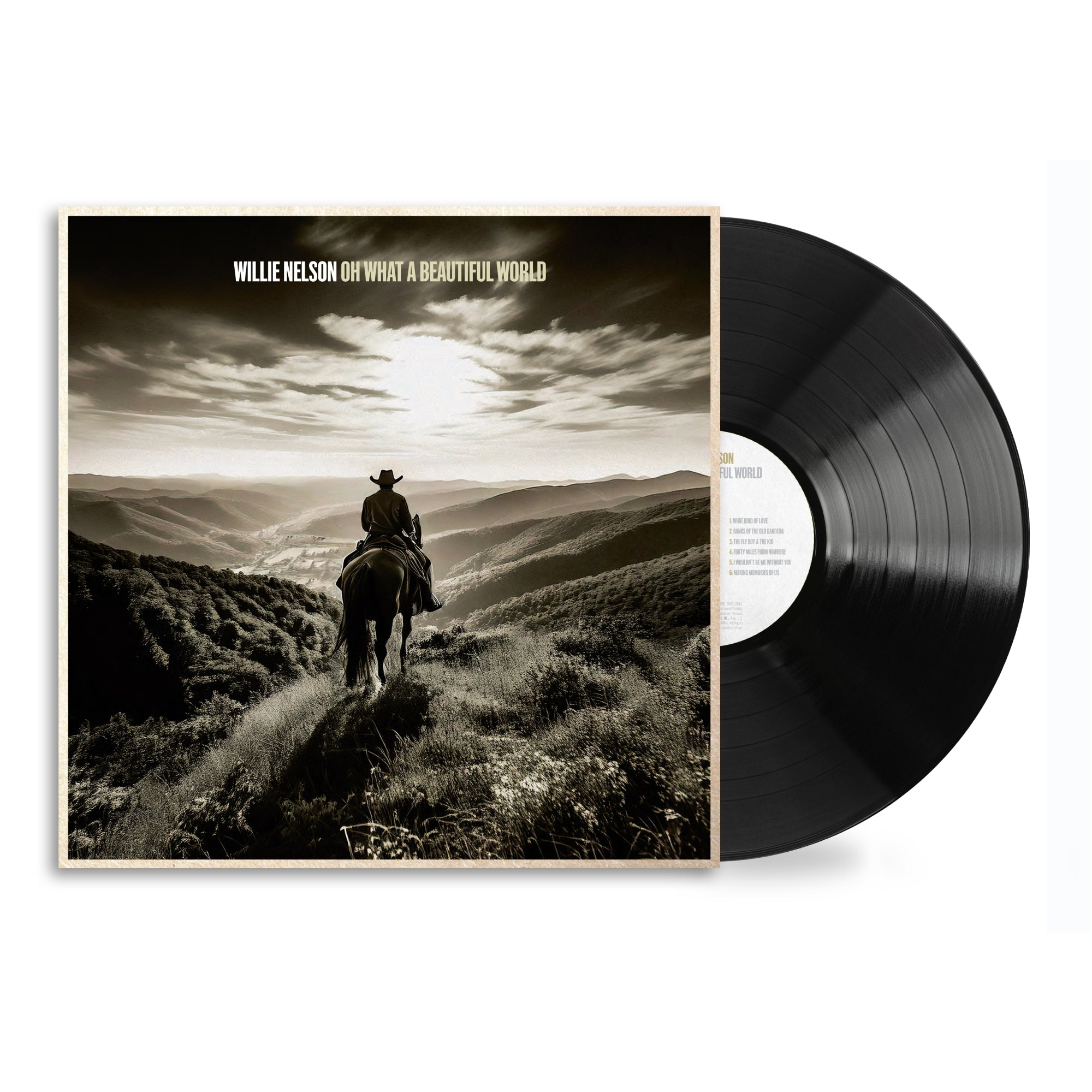 Willie Nelson Oh What A Beautiful World: Vinyl LP Recordstore