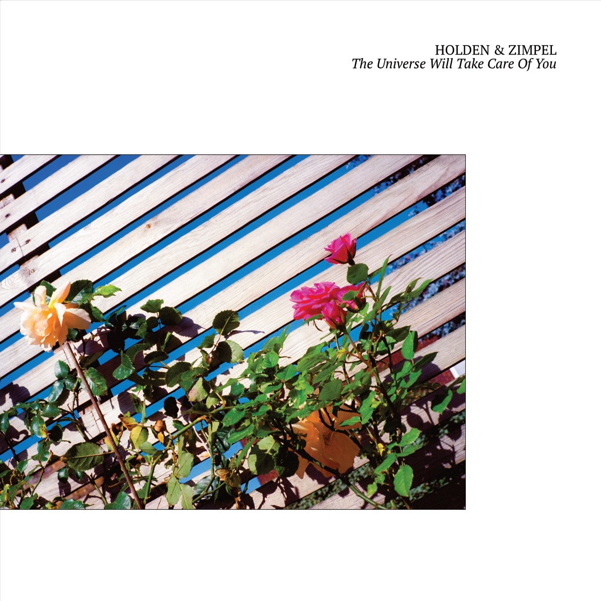 Holden & Zimpe - The Universe Will Take Care Of You: Vinyl LP