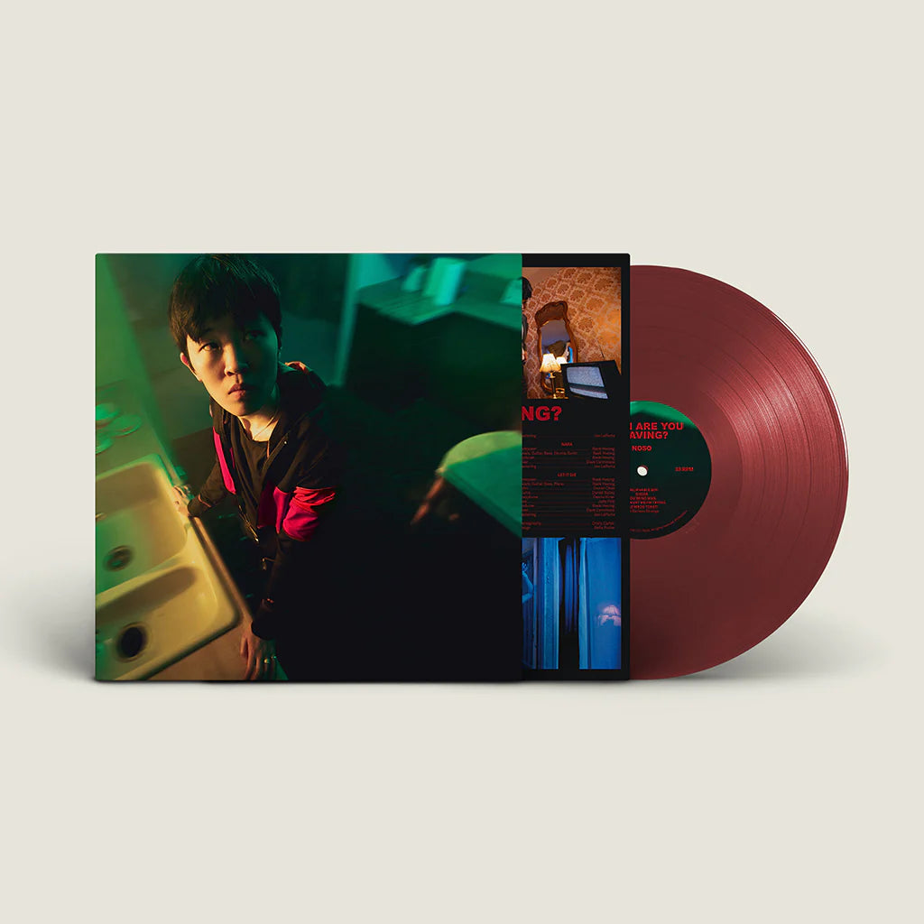 NoSo - When Are You Leaving? Oxblood Vinyl LP