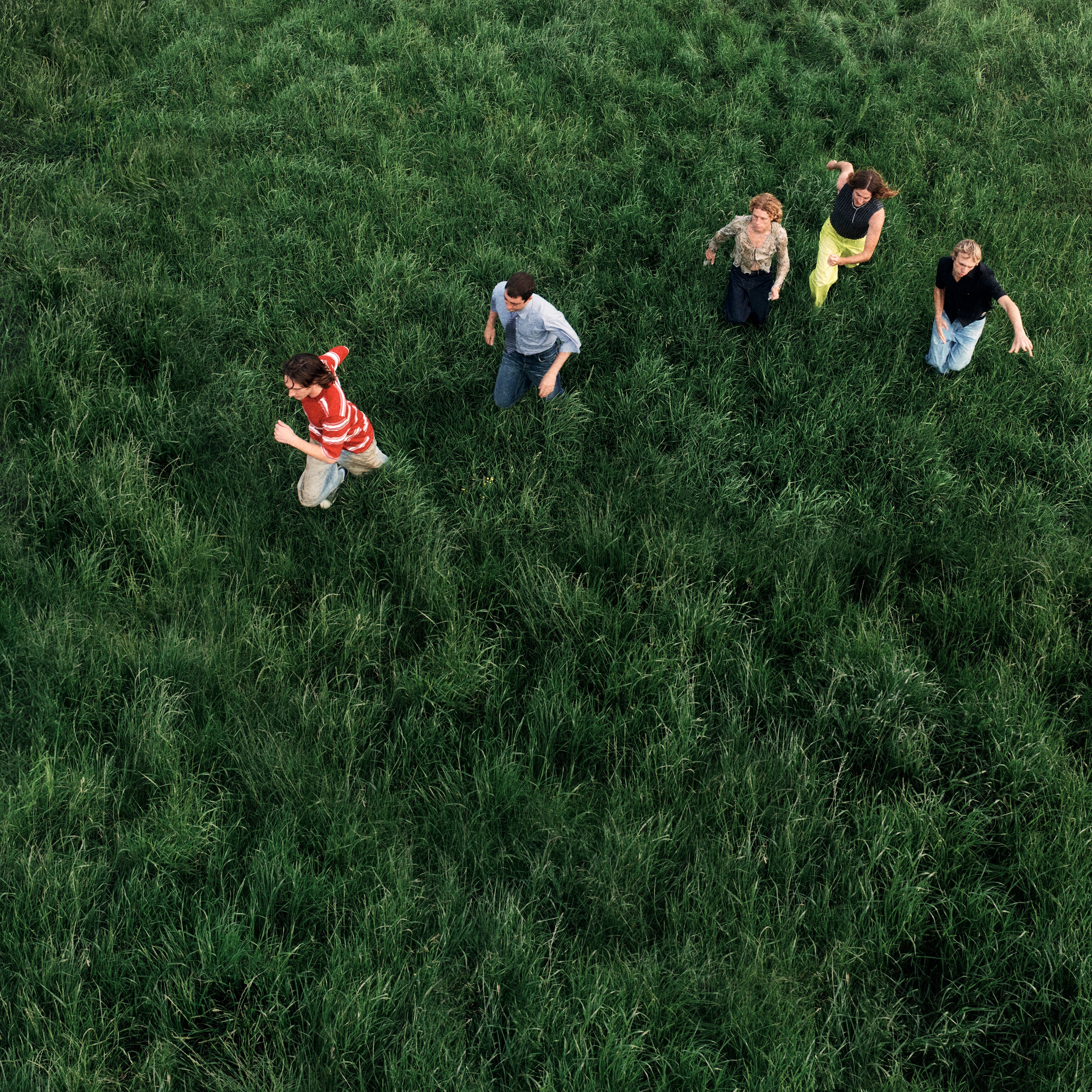 Parcels - Loved - Signed Art Card
