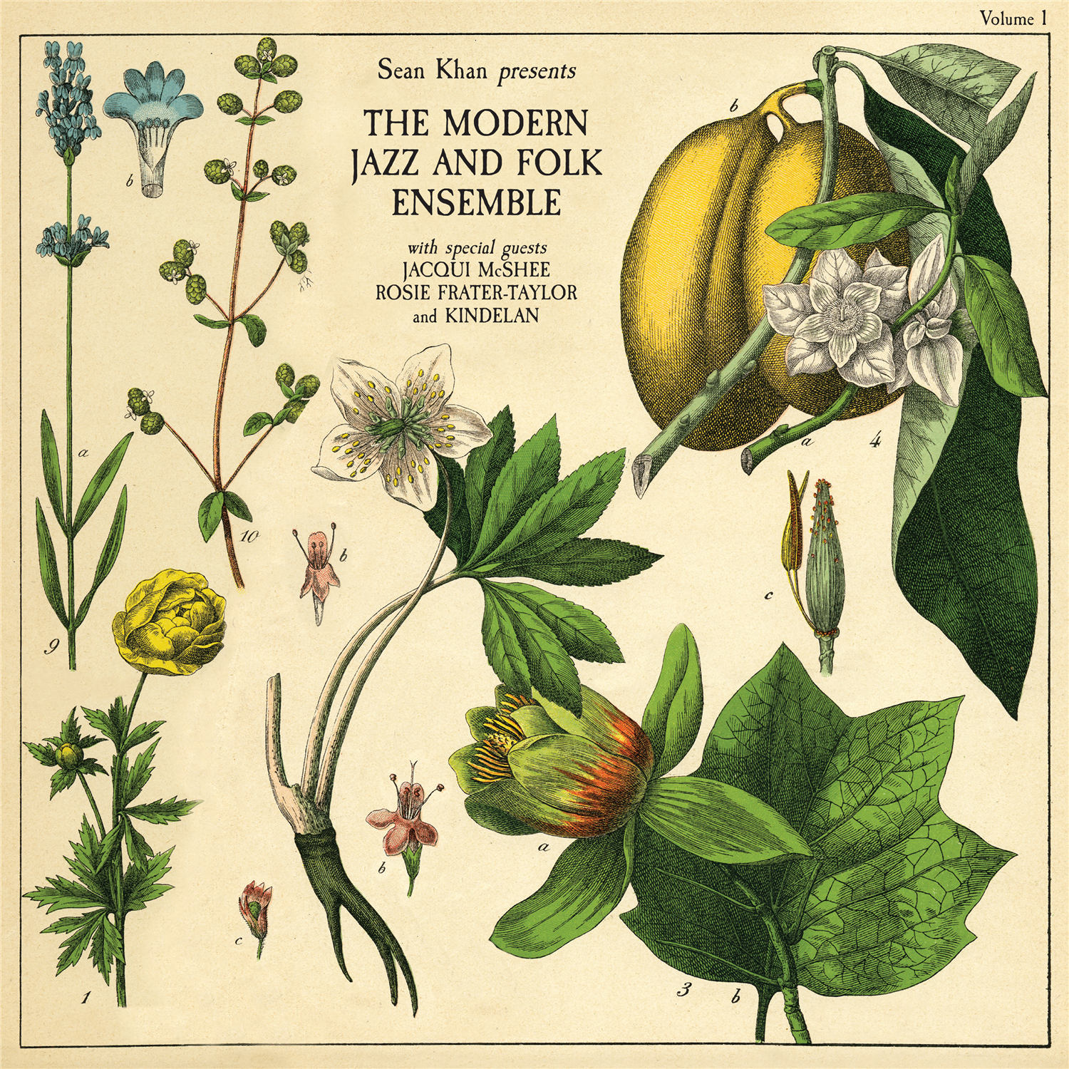Sean Khan & The Modern Jazz & Folk Ensemble - Sean Khan Presents The Modern Folk & Jazz Ensemble: CD
