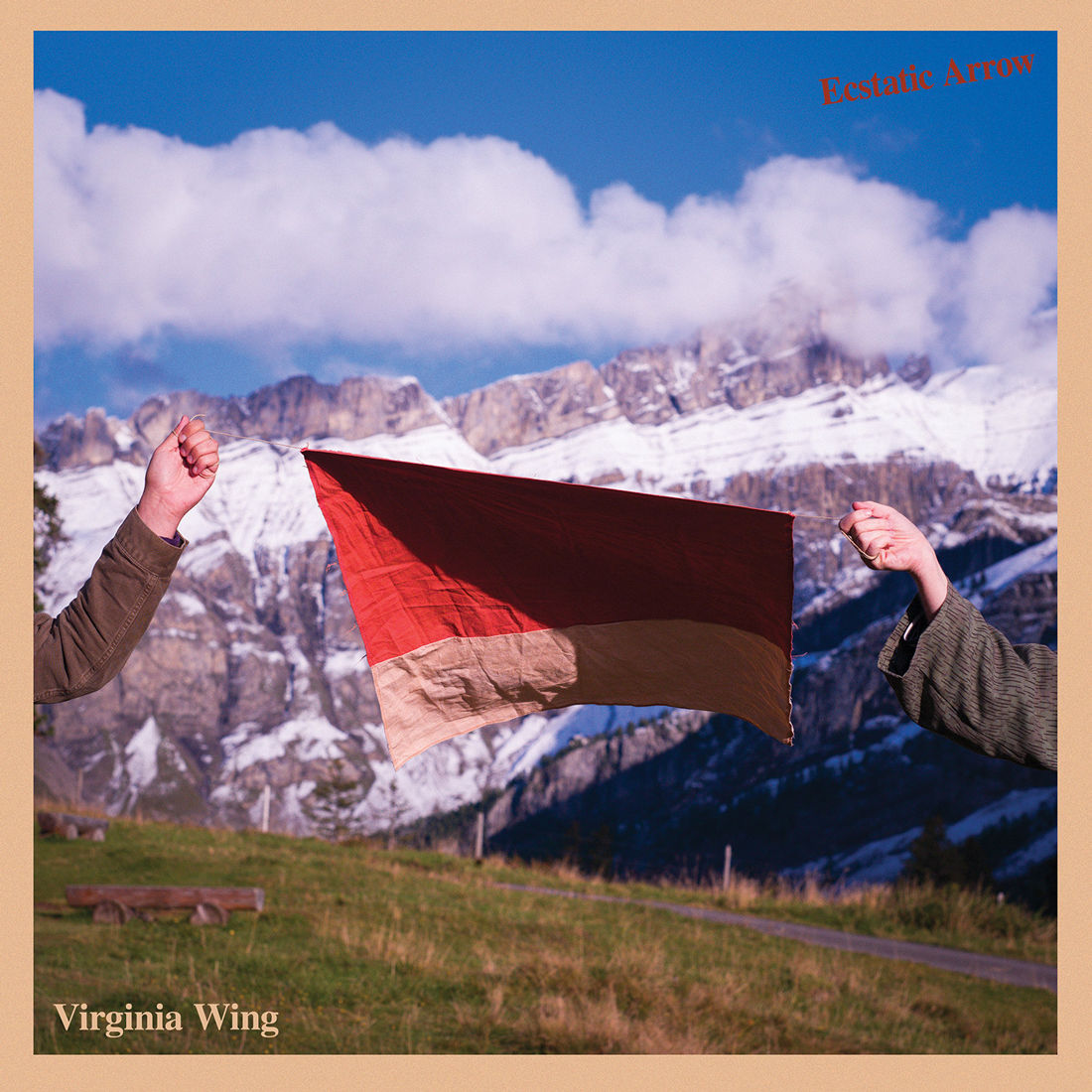 Virginia Wing - Ecstatic Arrow: Vinyl LP