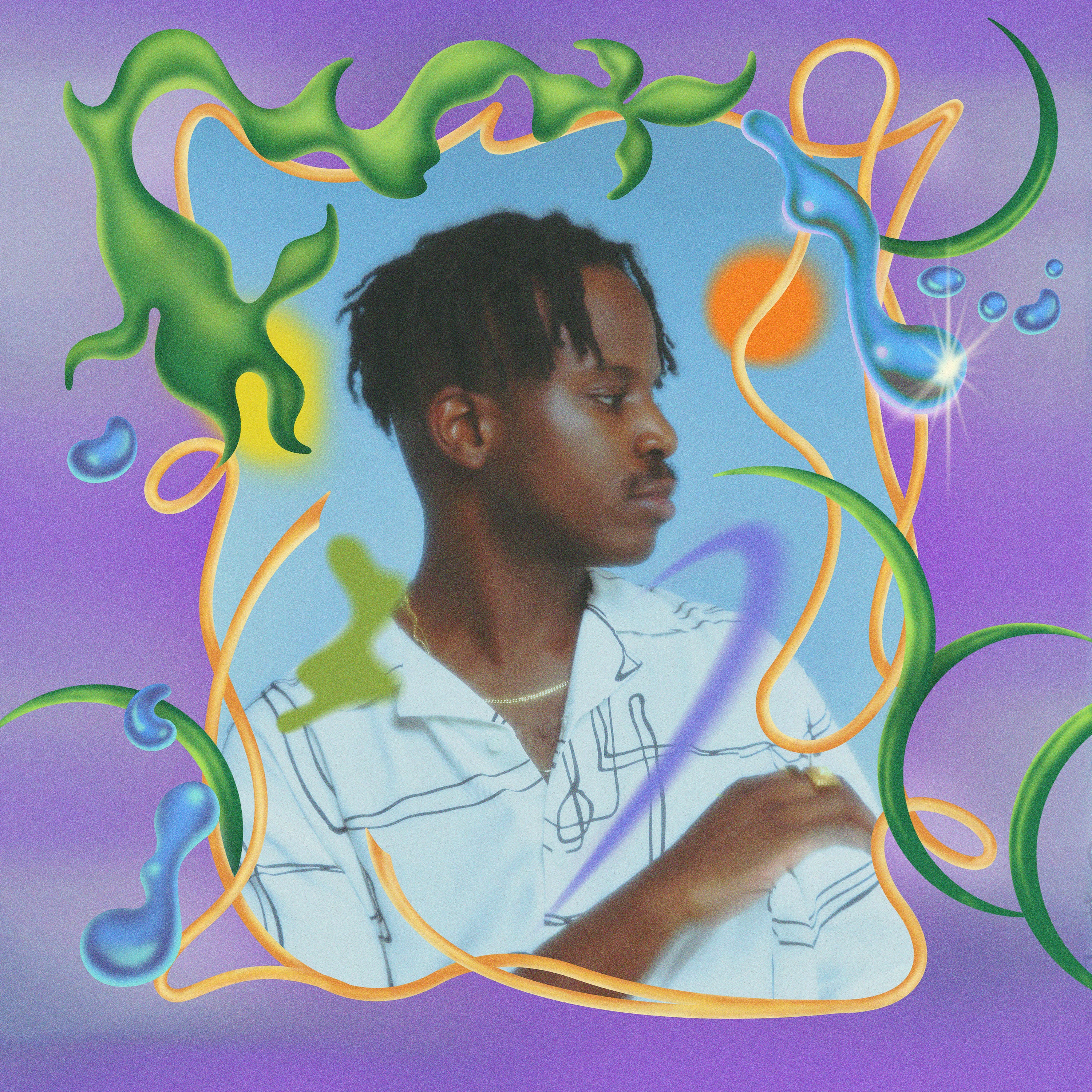 salute - Shield: Vinyl 12" EP