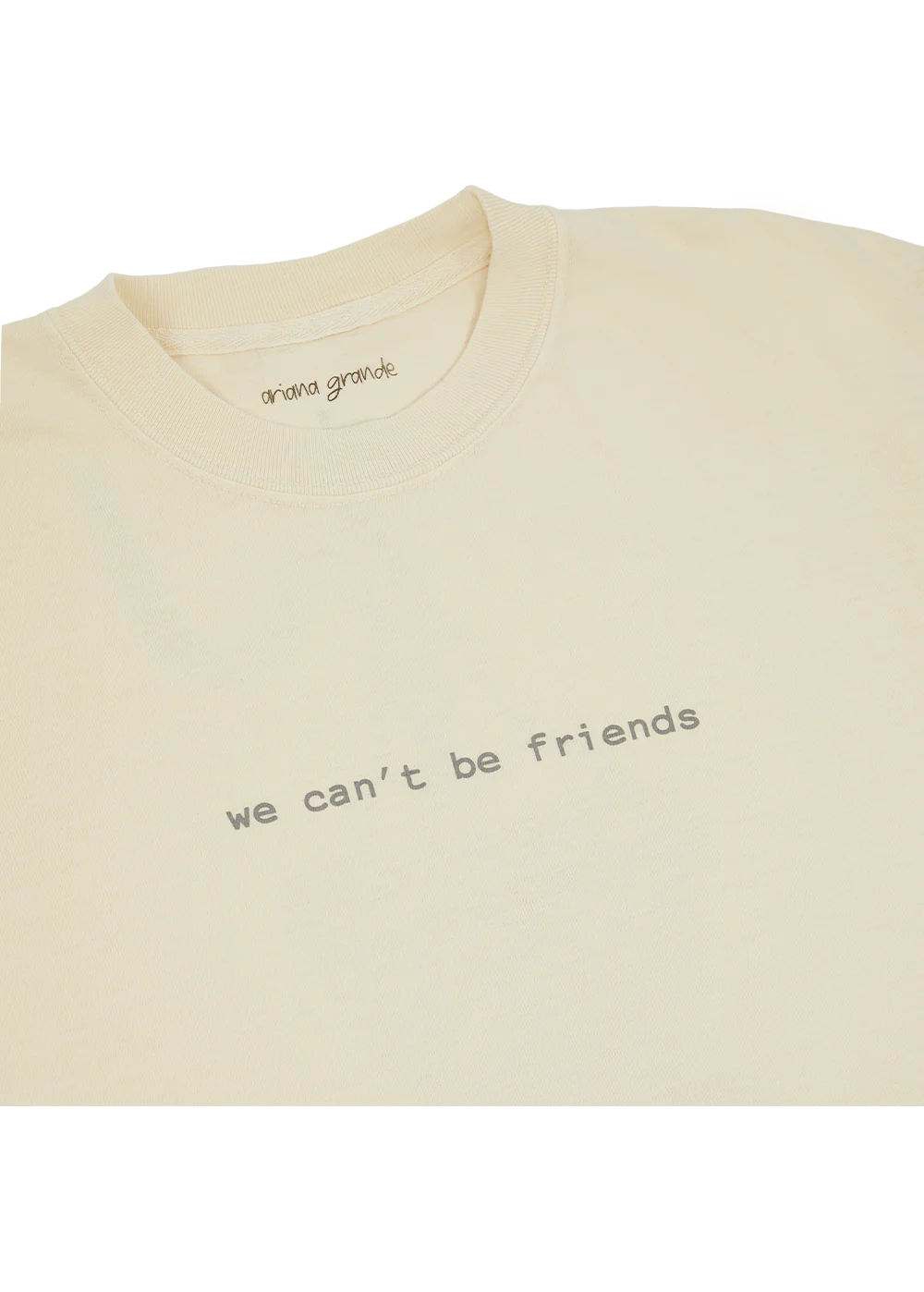 Ariana Grande - we can't be friends t-shirt