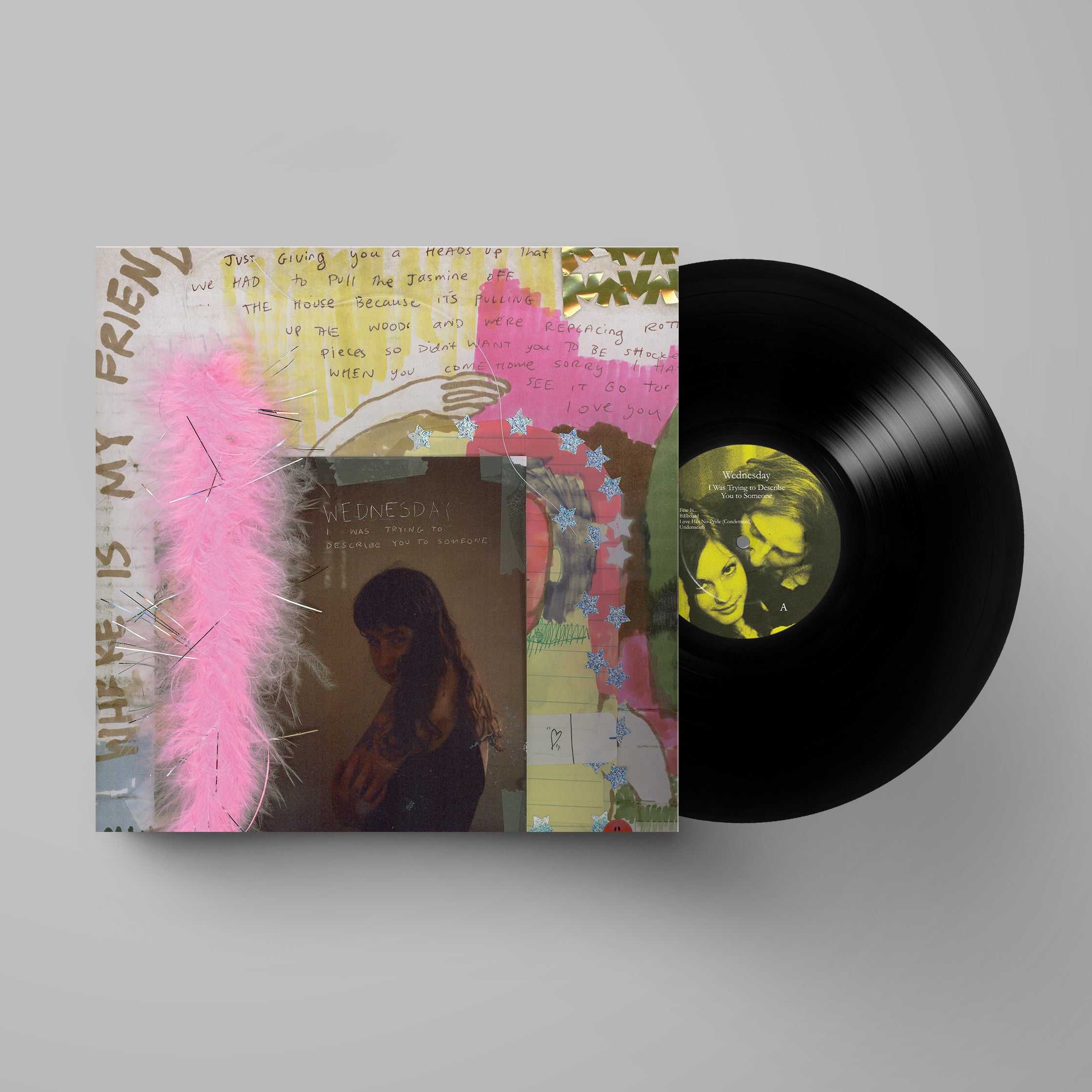 Wednesday - I Was Trying to Describe You to Someone: Vinyl LP