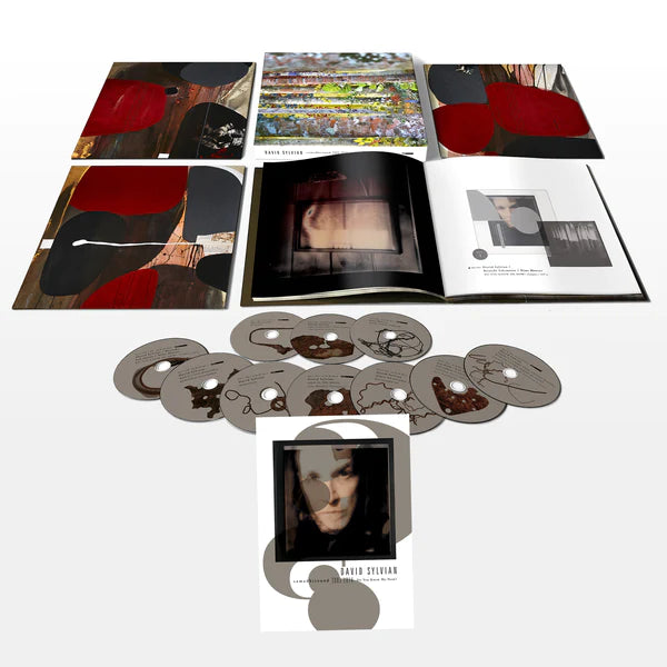 Do You Know Me Now?: Exclusive 10CD Box Set + Exclusive Art Card (Signed by Chris Bigg)