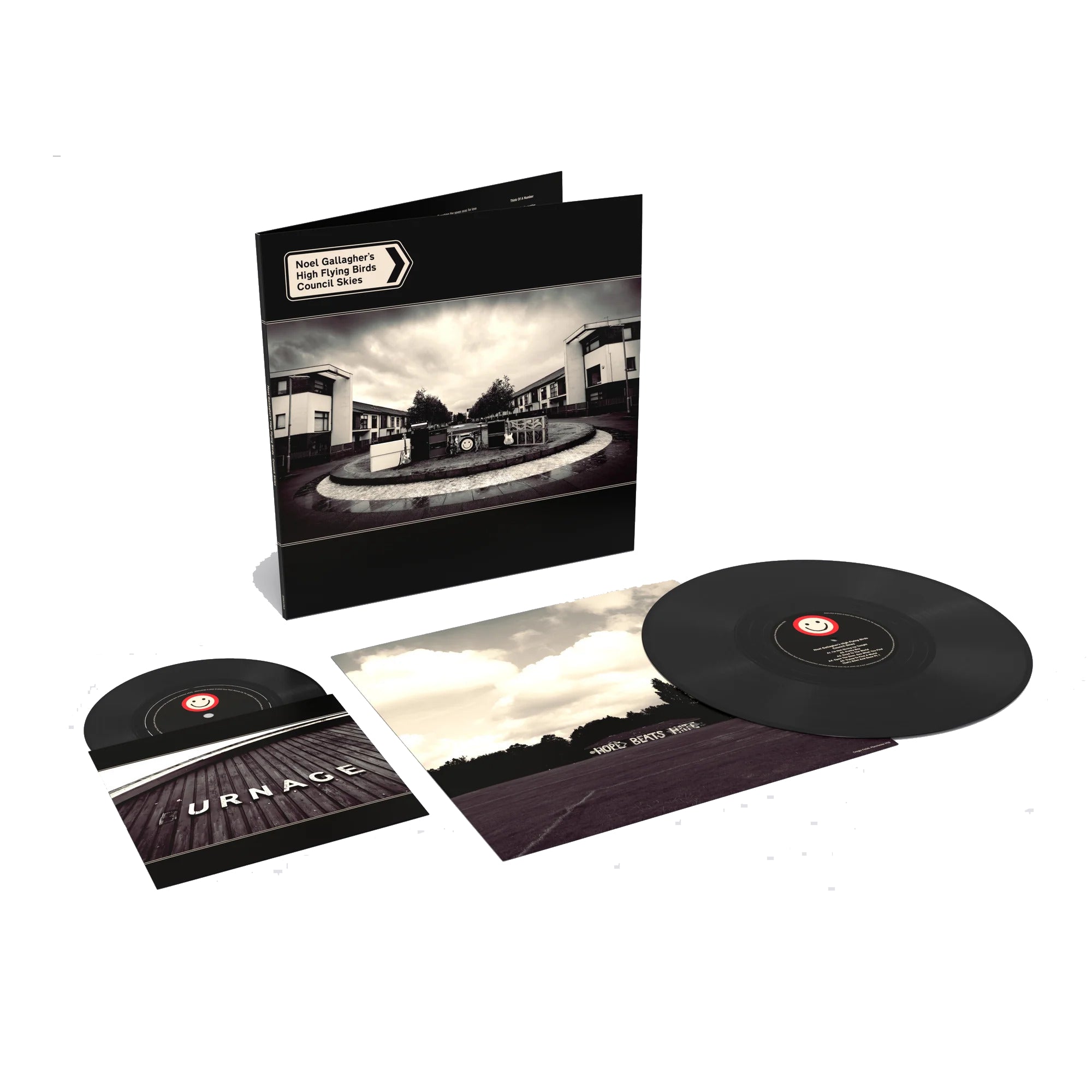 Noel Gallagher's High Flying Birds - Council Skies: Vinyl LP +