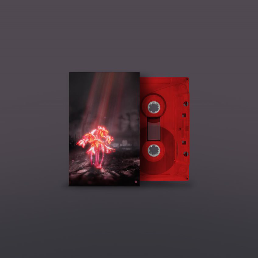 Enter Shikari - A Kiss For The Whole World: Limited Red Colour Cassette Tape