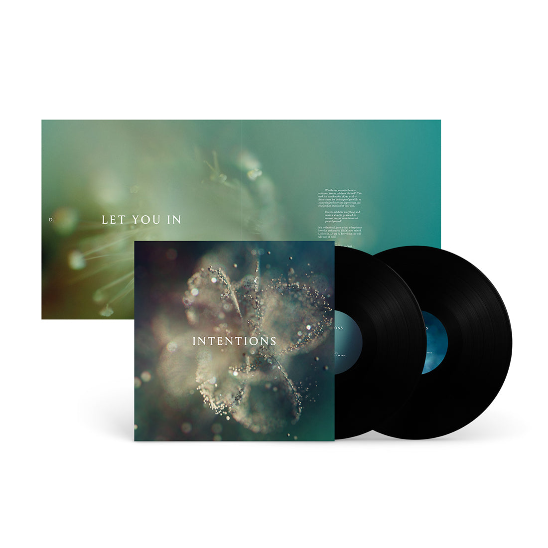 Intentions: Vinyl LP