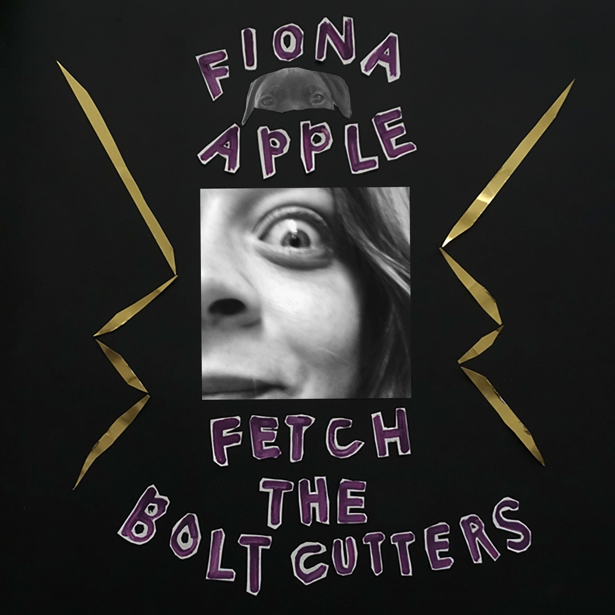 Fiona Apple - Fetch The Bolt Cutters: CD