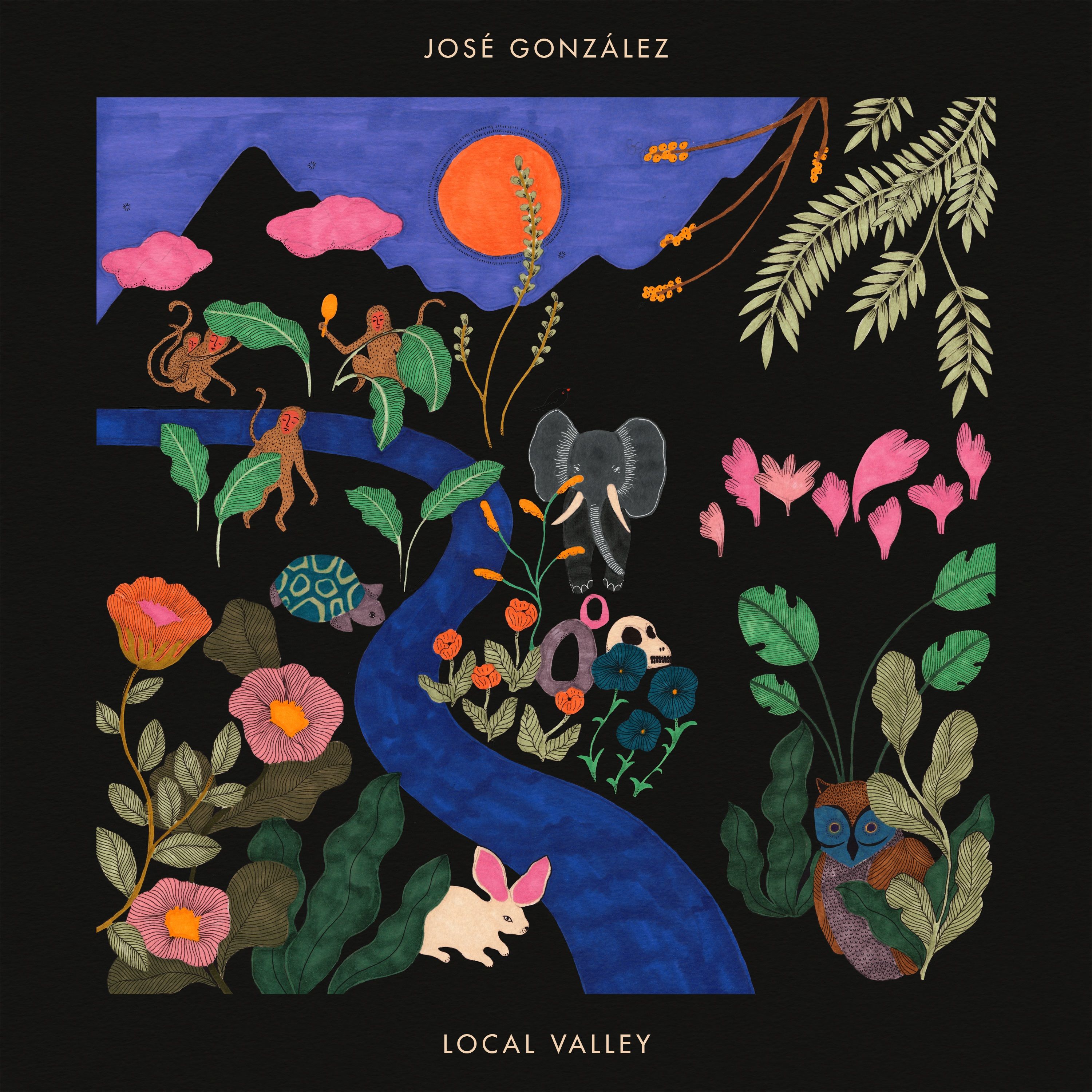 Jose Gonzalez - Local Valley: CD