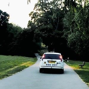 Turn Right And Right Again: Signed Exclusive Signed Vinyl LP