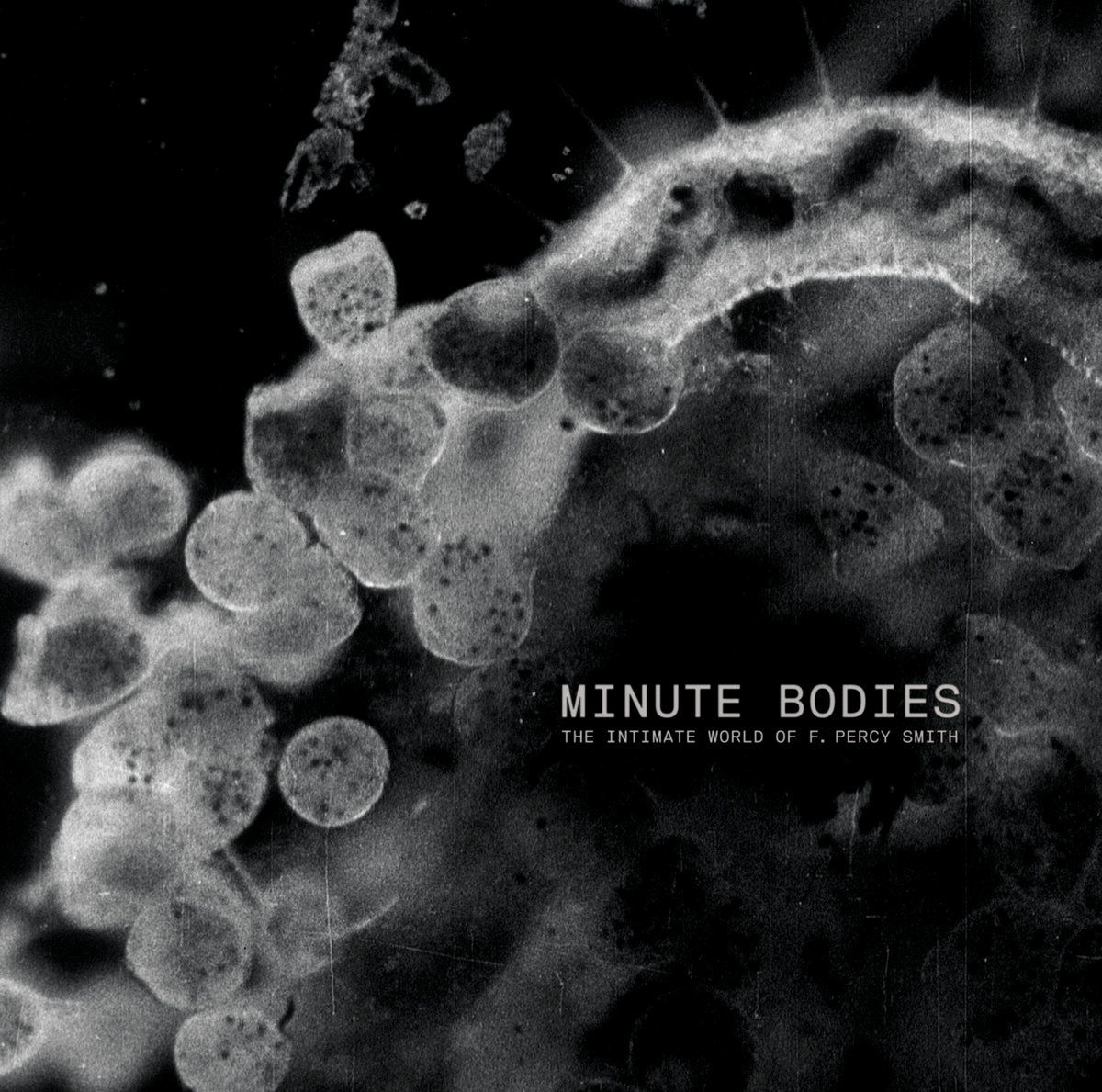 Tindersticks - Minute Bodies - The Intimate World Of F. Percy Smith: CD + DVD