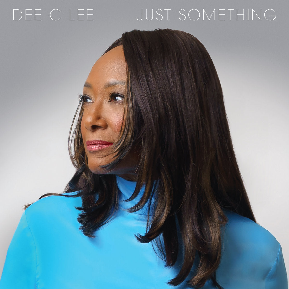 Dee C Lee - Just Something: Vinyl LP
