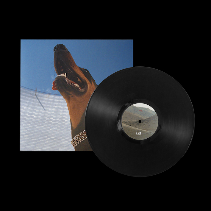 Good Lies: Vinyl LP + Signed Print