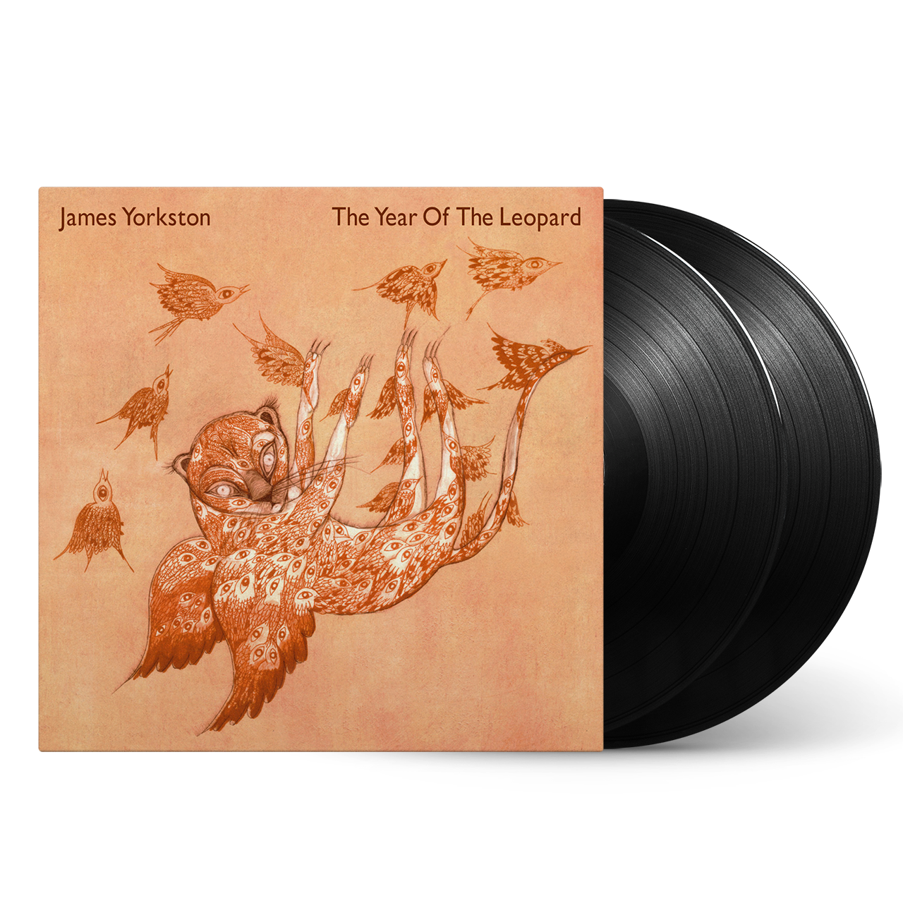 James Yorkston - The Year Of The Leopard: Vinyl 2LP