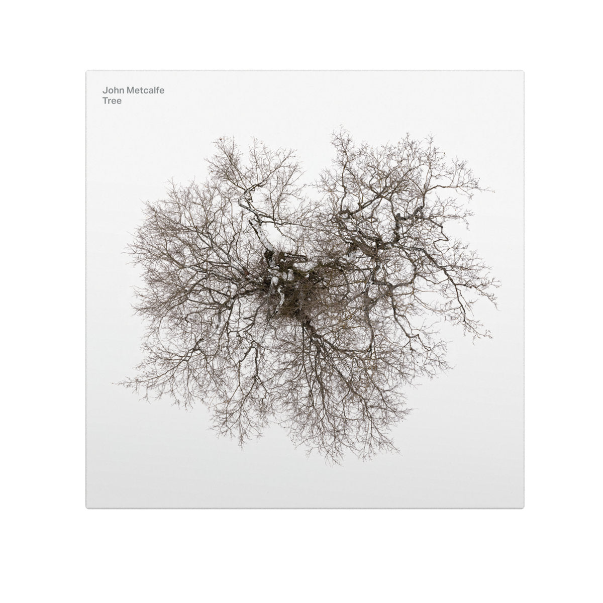 John Metcalfe - Tree: CD