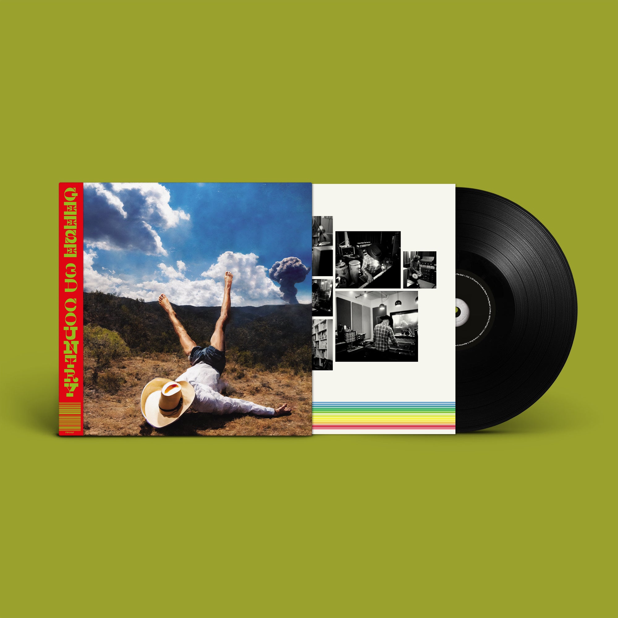 Geese - 3D Country: Vinyl LP