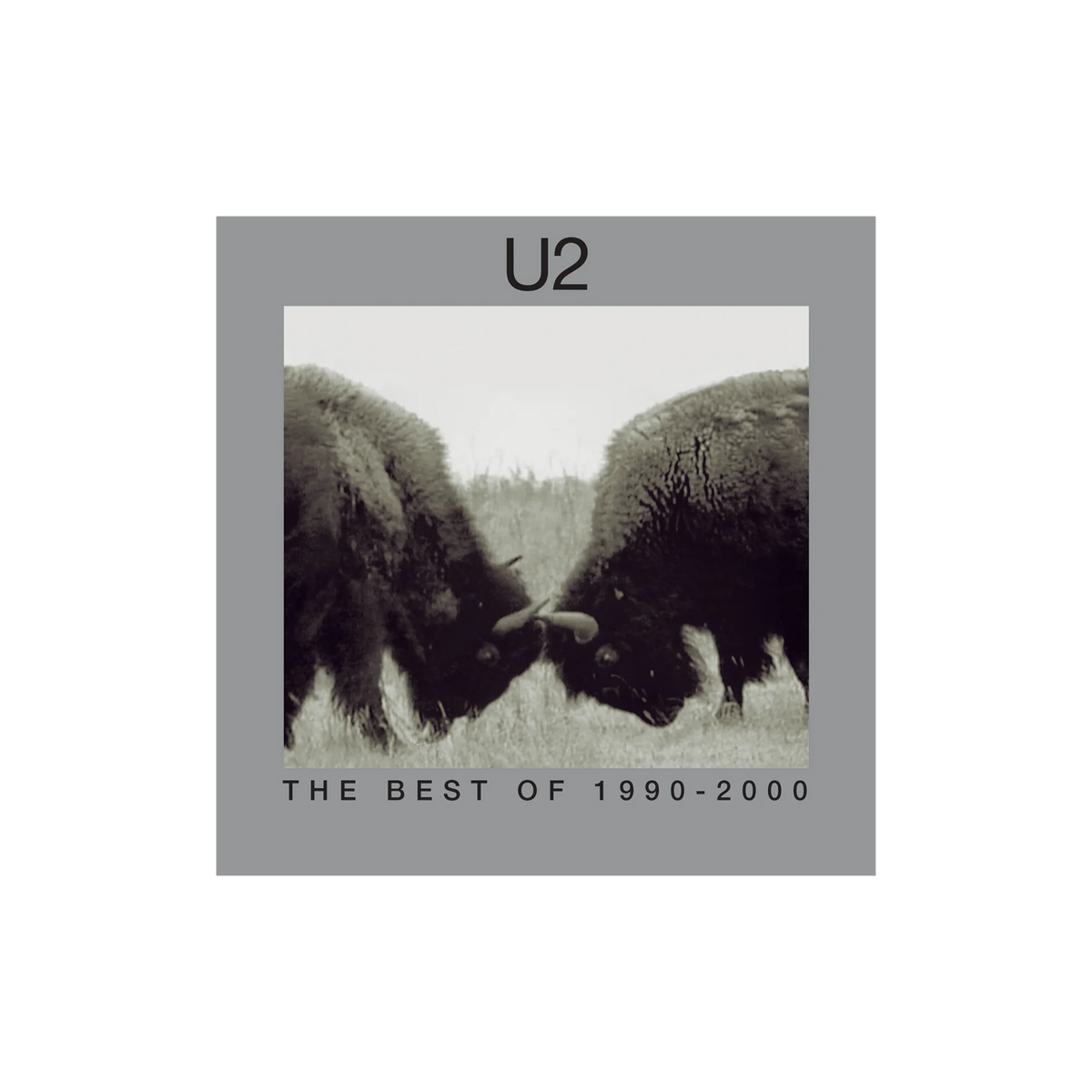 U2 - The Best Of 1990-2000: Vinyl 2LP