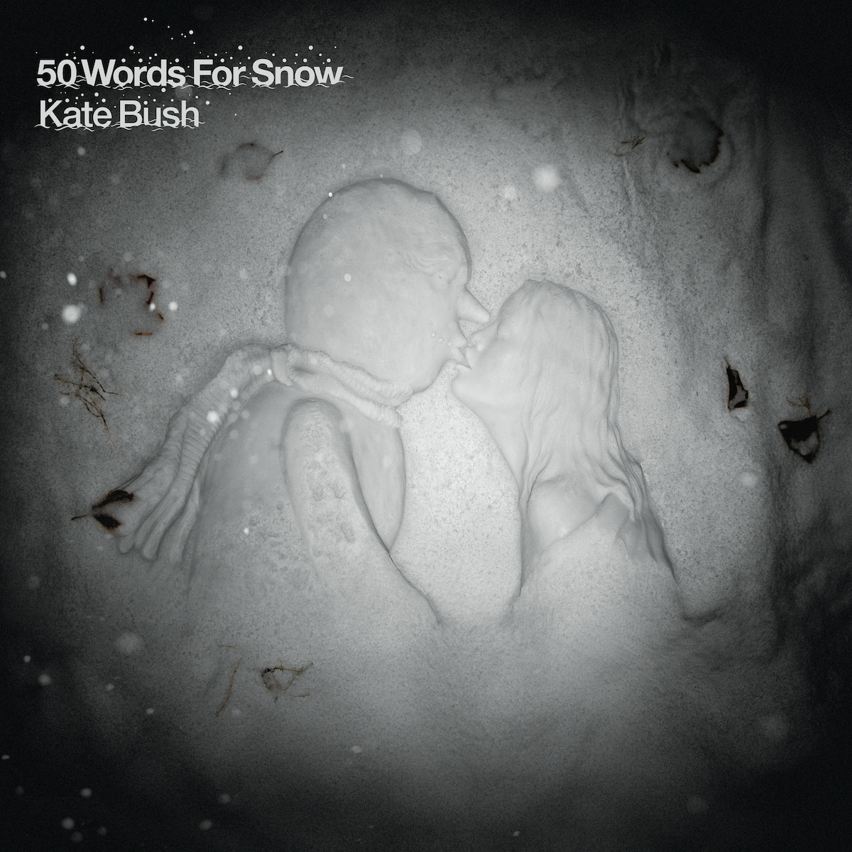 Kate Bush - 50 Words For Snow (2018 Remaster): Vinyl 2LP