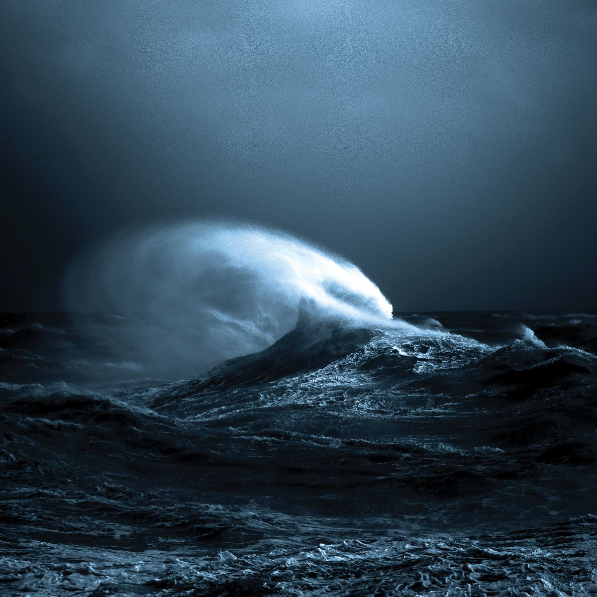 Mark Molnar - EXO: Black Vinyl LP