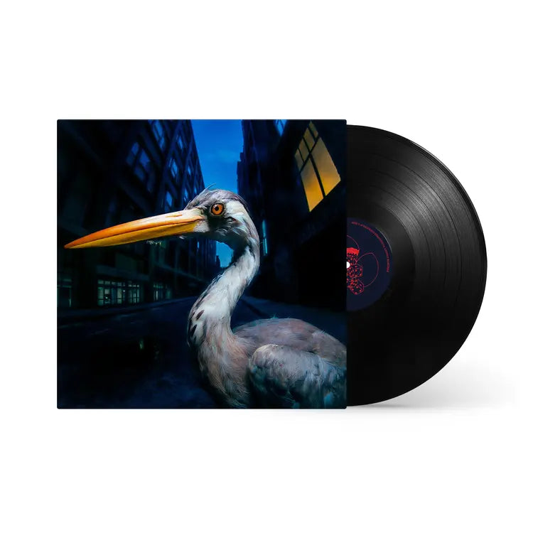Antony Szmierek - Decoding Birdsong: Black Vinyl LP