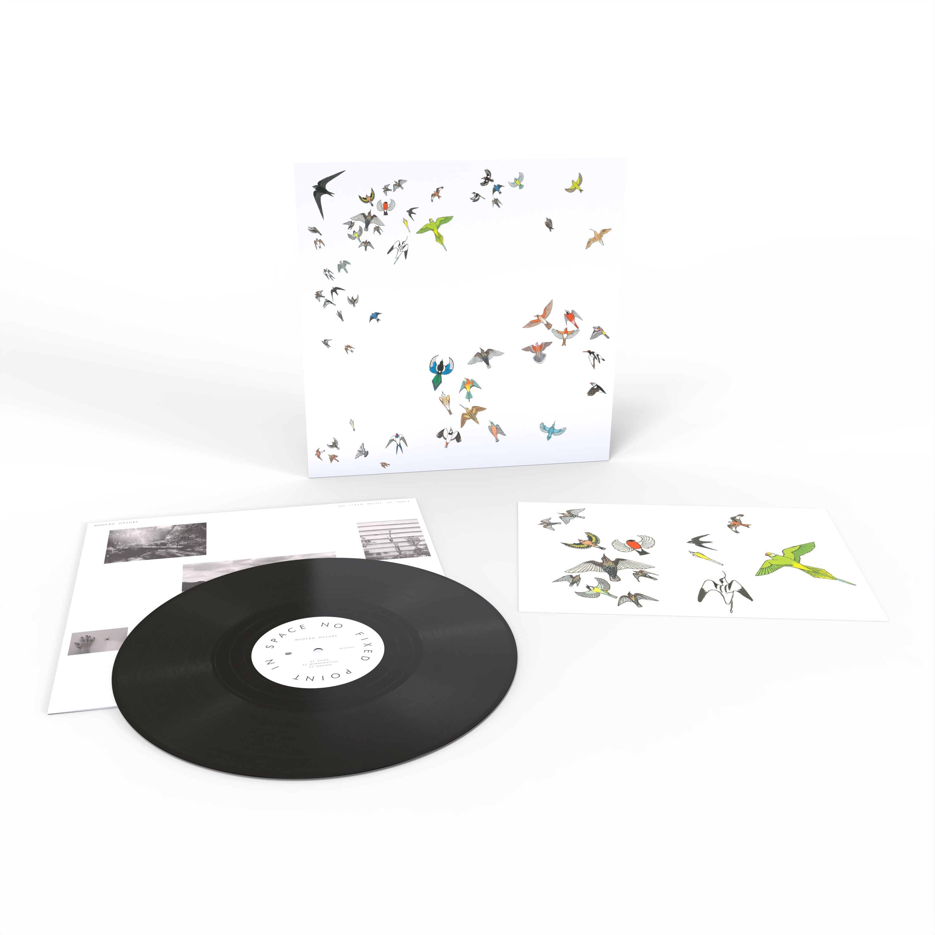 Modern Nature - No Fixed Point In Space: Vinyl LP