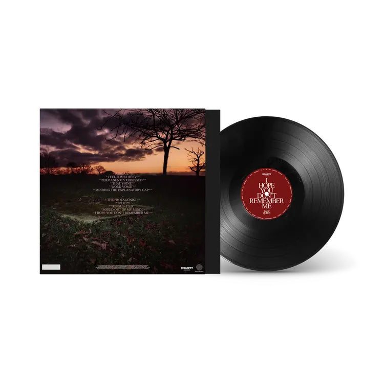 Baby Queen - I Hope You Don’t Remember Me: Black Vinyl LP