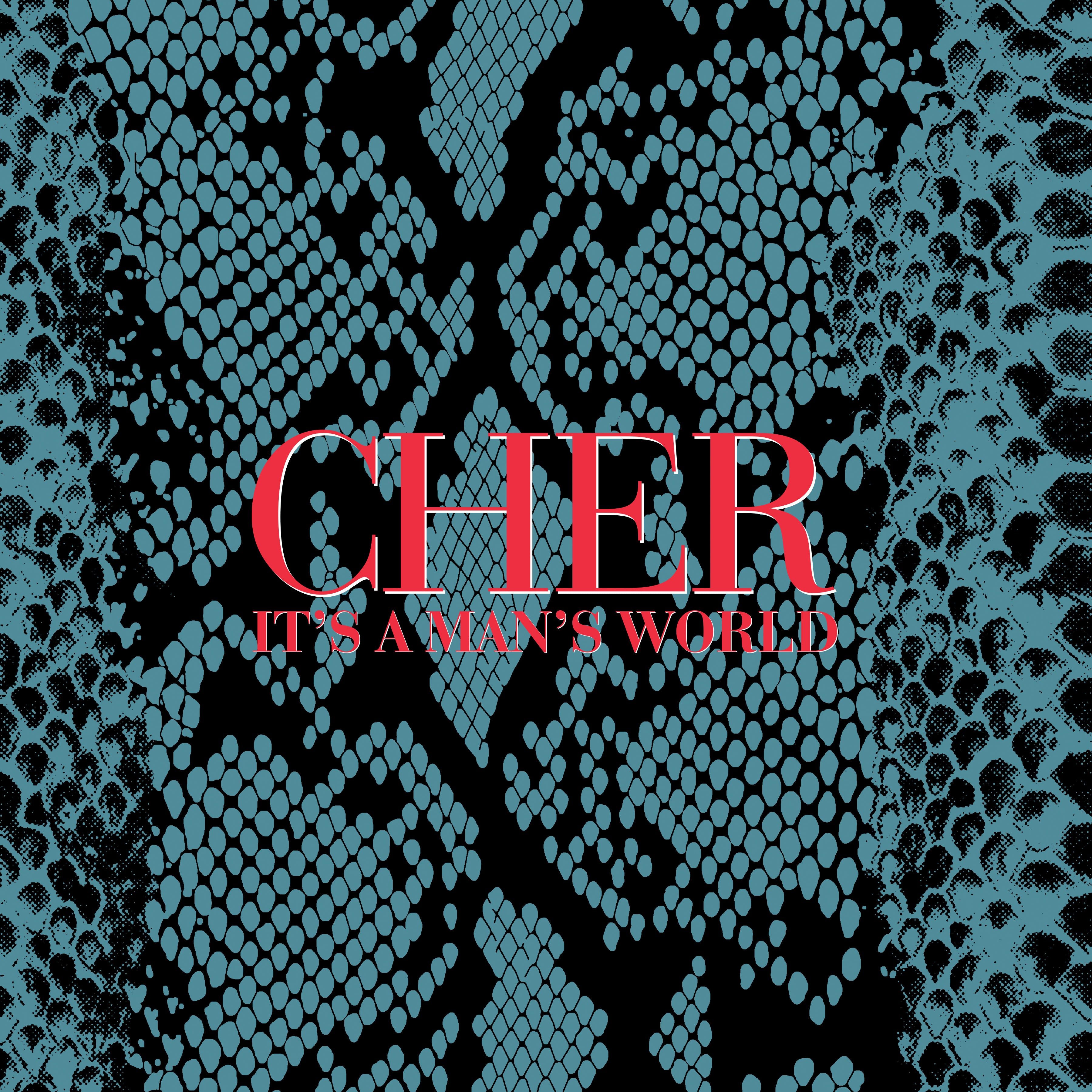 Cher - It’s A Man’s World (Deluxe Edition): 2CD