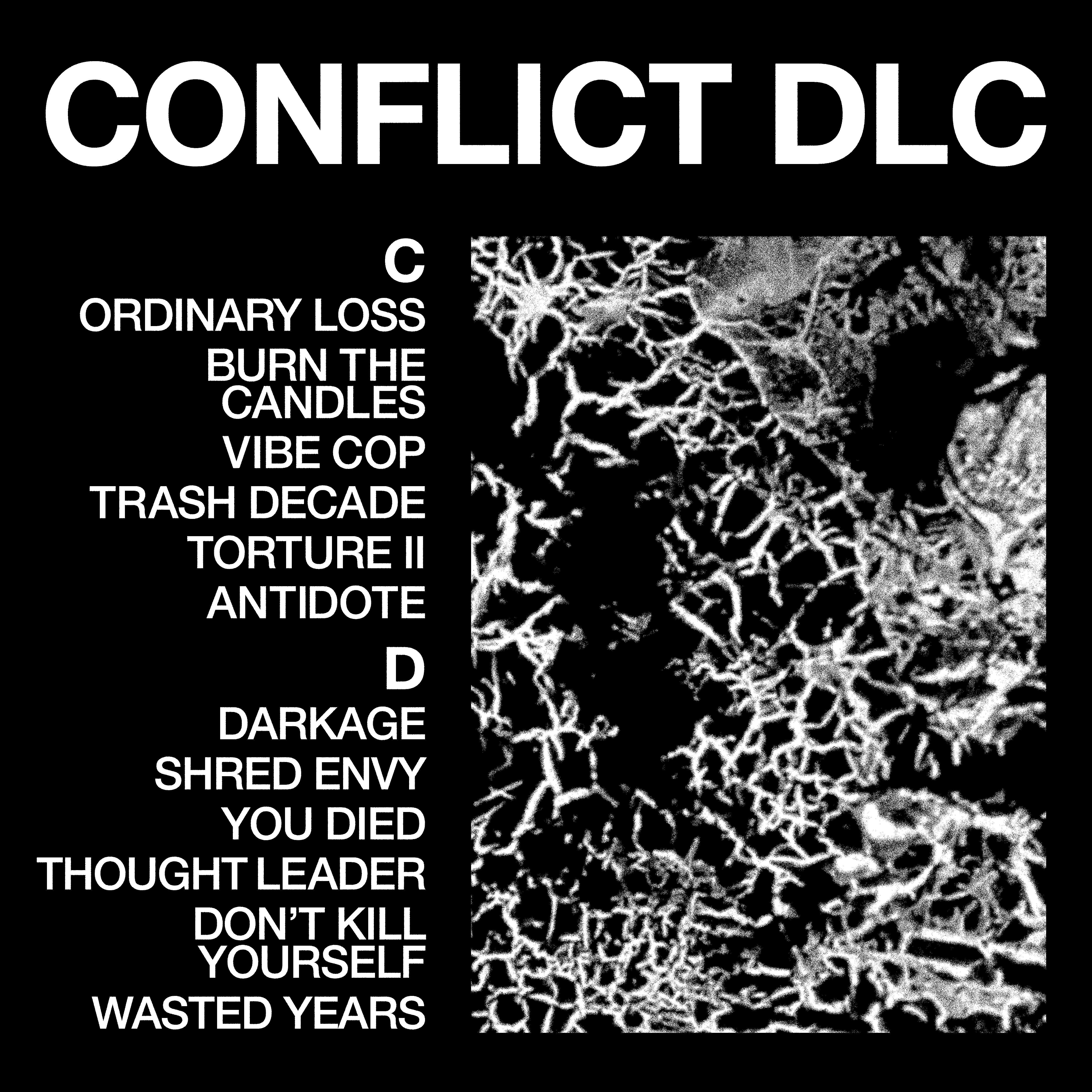 HEALTH - CONFLICT DLC: Signed Print