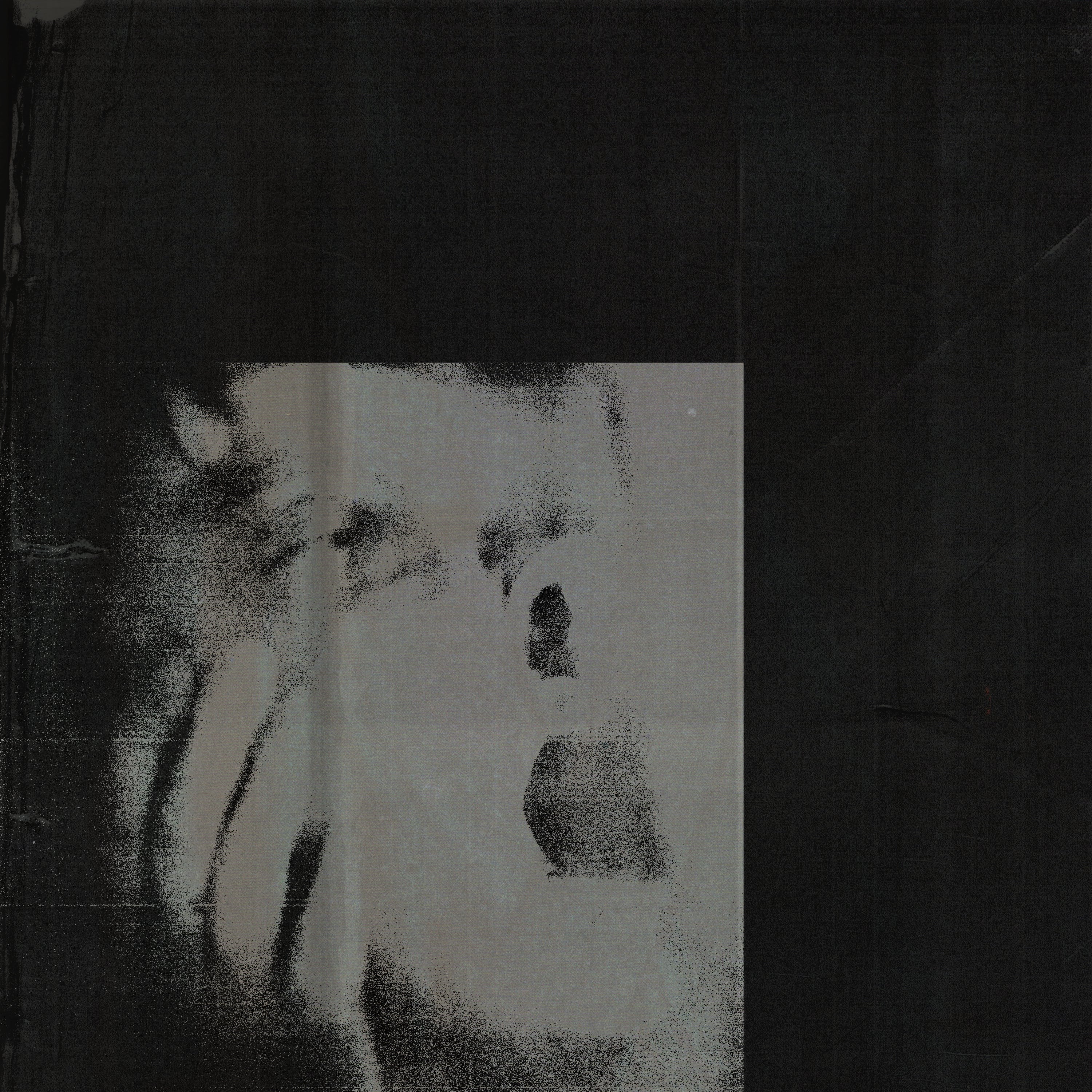 DITZ - Never Exhale: CD