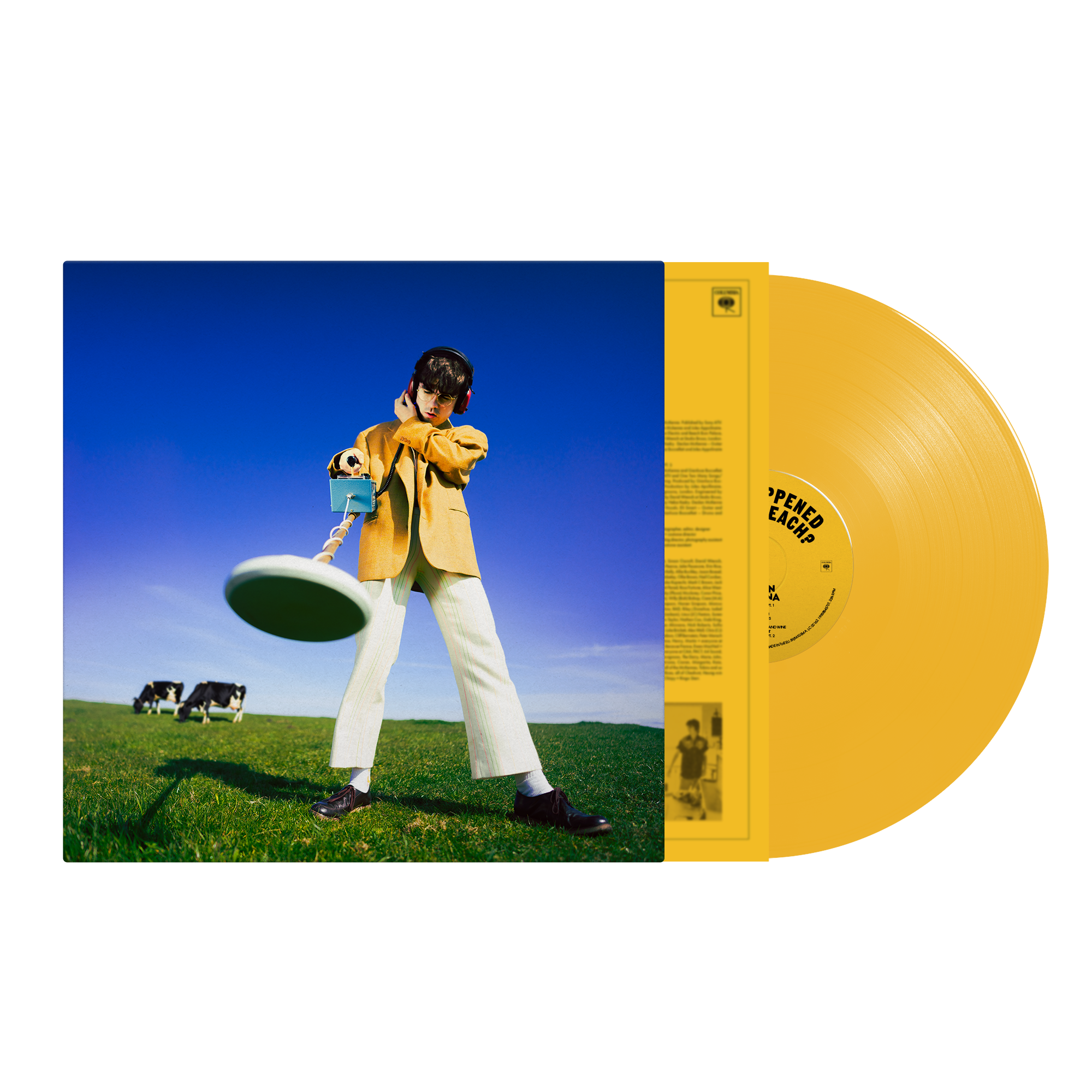 Declan McKenna - What Happened to the Beach? Limited Sun Yellow Vinyl LP