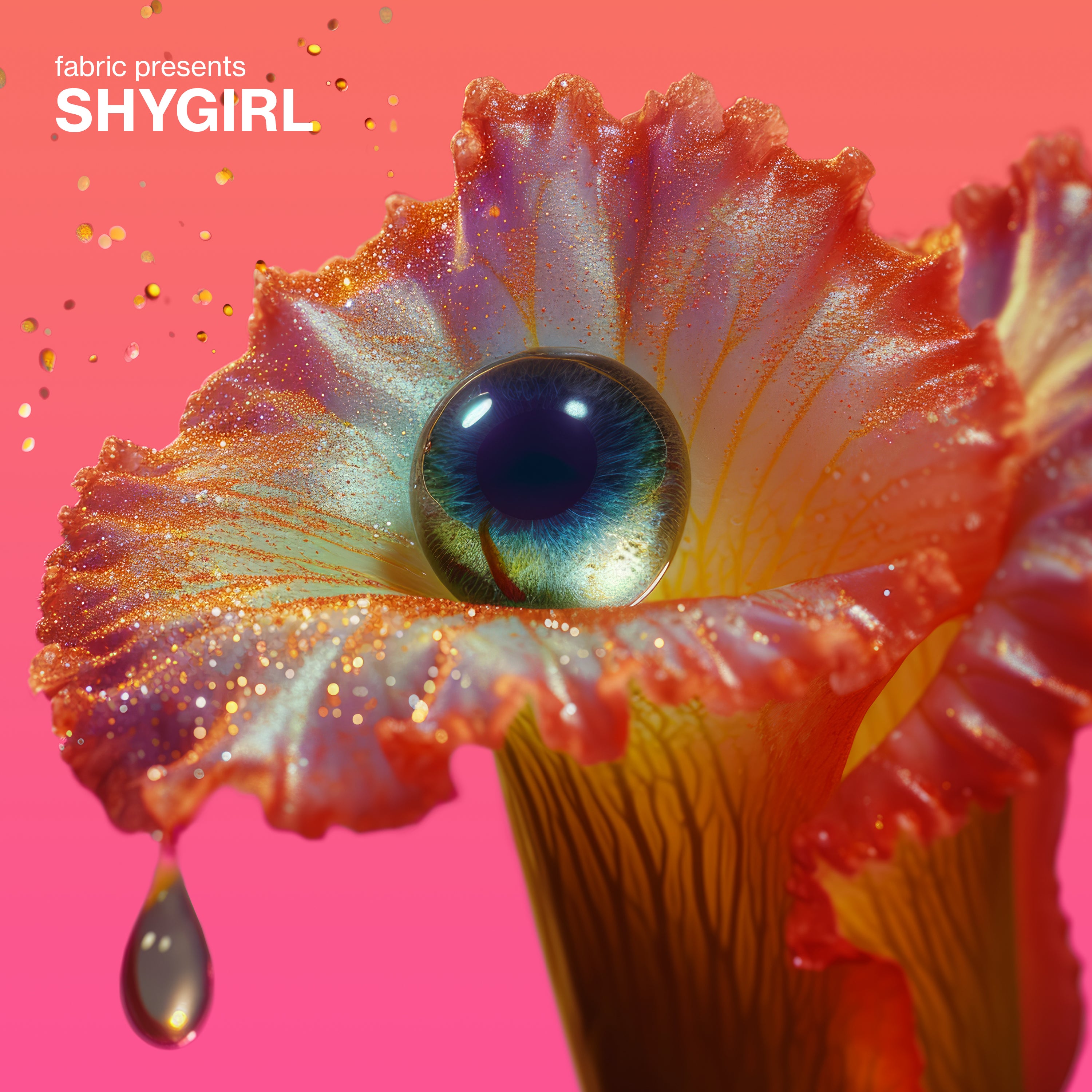 Shygirl - fabric presents Shygirl: CD