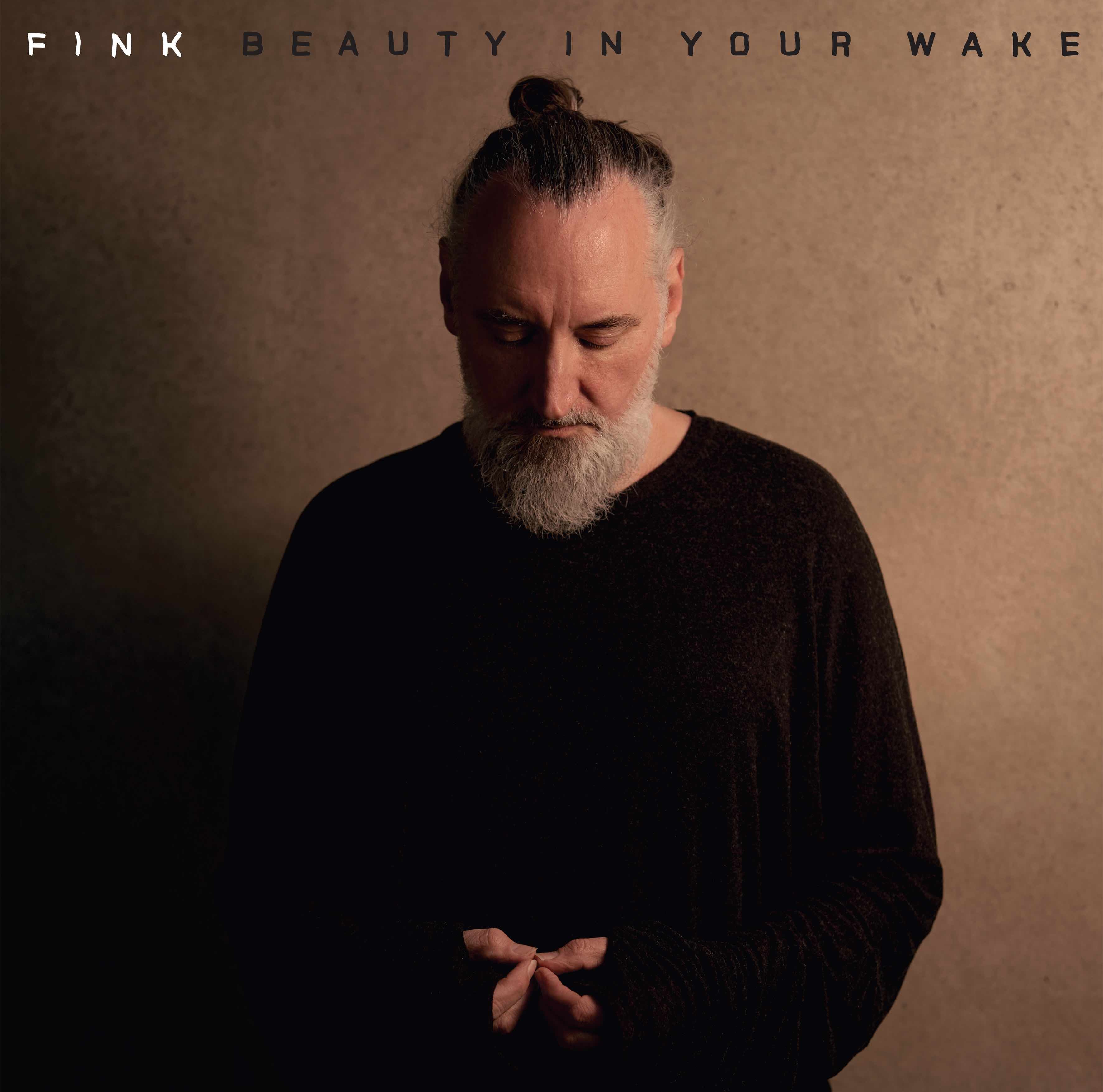 Fink - Beauty In Your Wake: CD