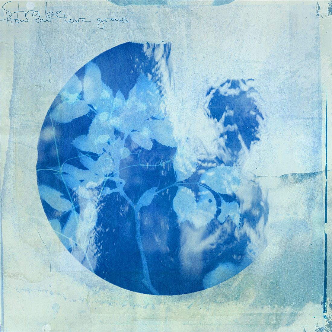 STRABE - How Our Love Grows: Vinyl LP