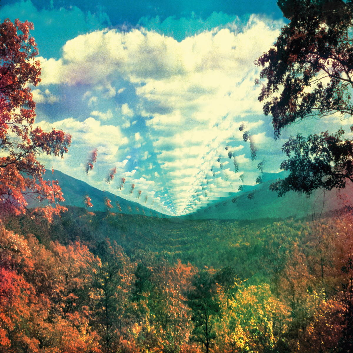 Tame Impala - InnerSpeaker: Vinyl 2LP