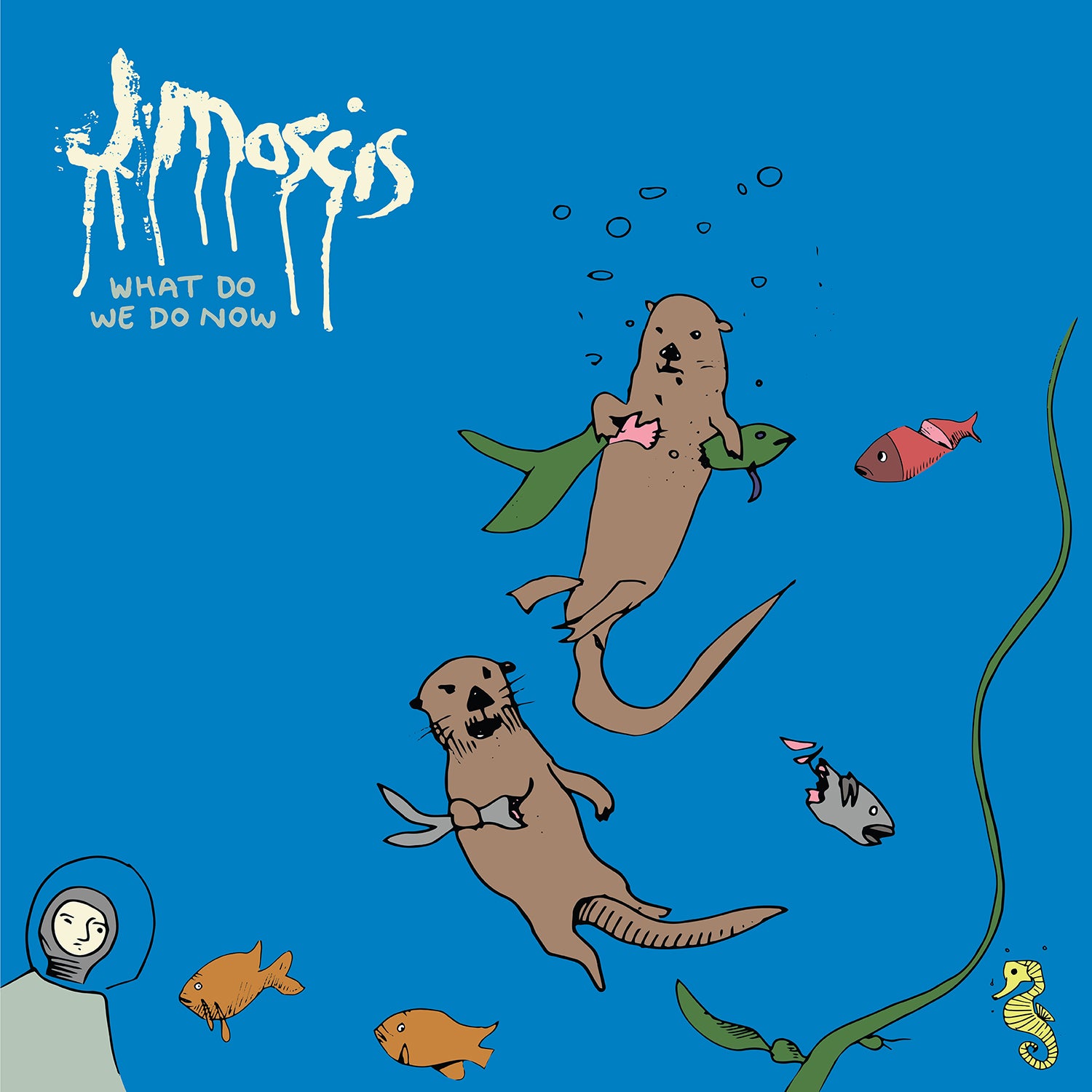 J Mascis - What Do We Do Now: CD