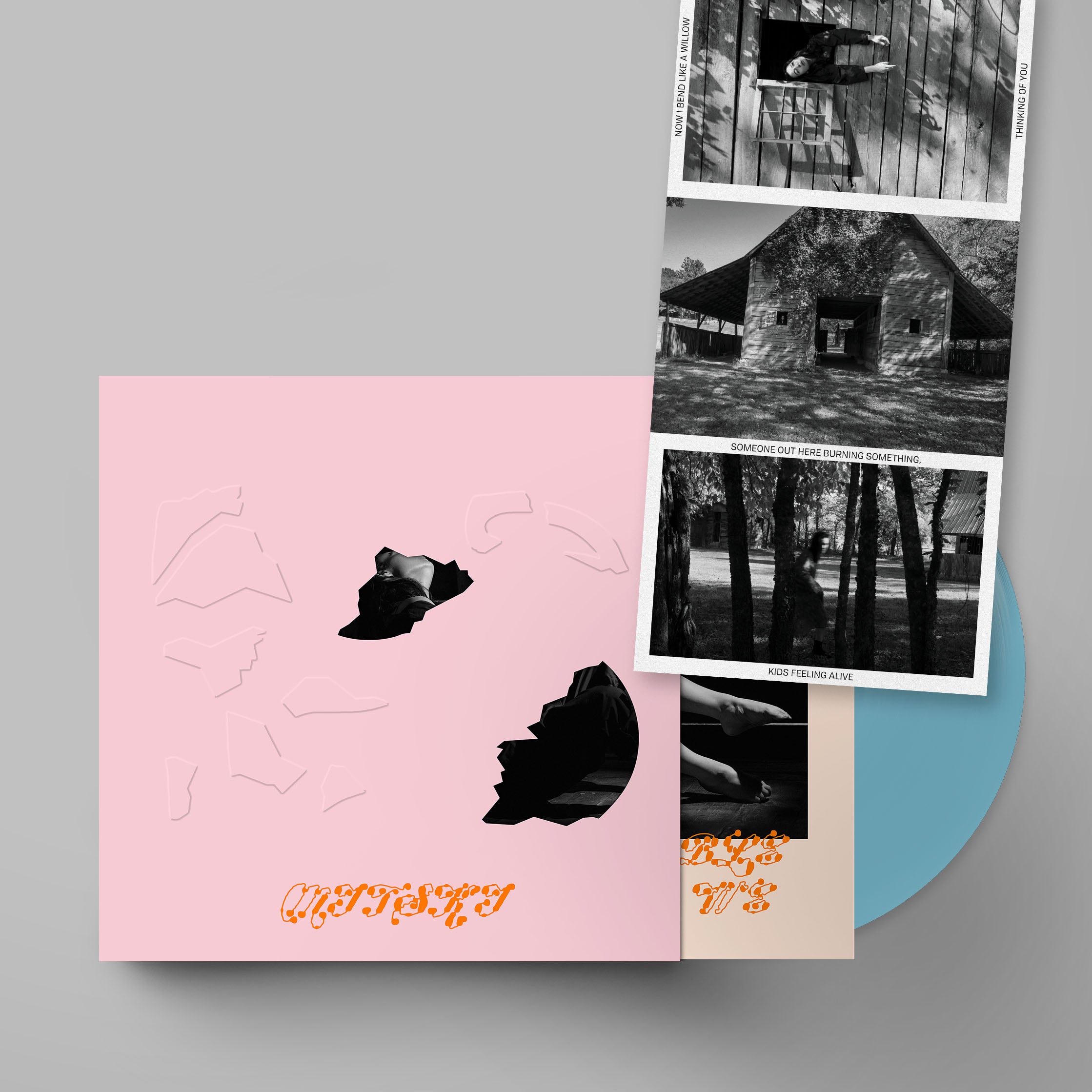 Mitski - The Land is Inhospitable and So Are We: Limited Robin Egg Blue Vinyl LP w/ Pink Die-Cut Slipcase & Postcard Set