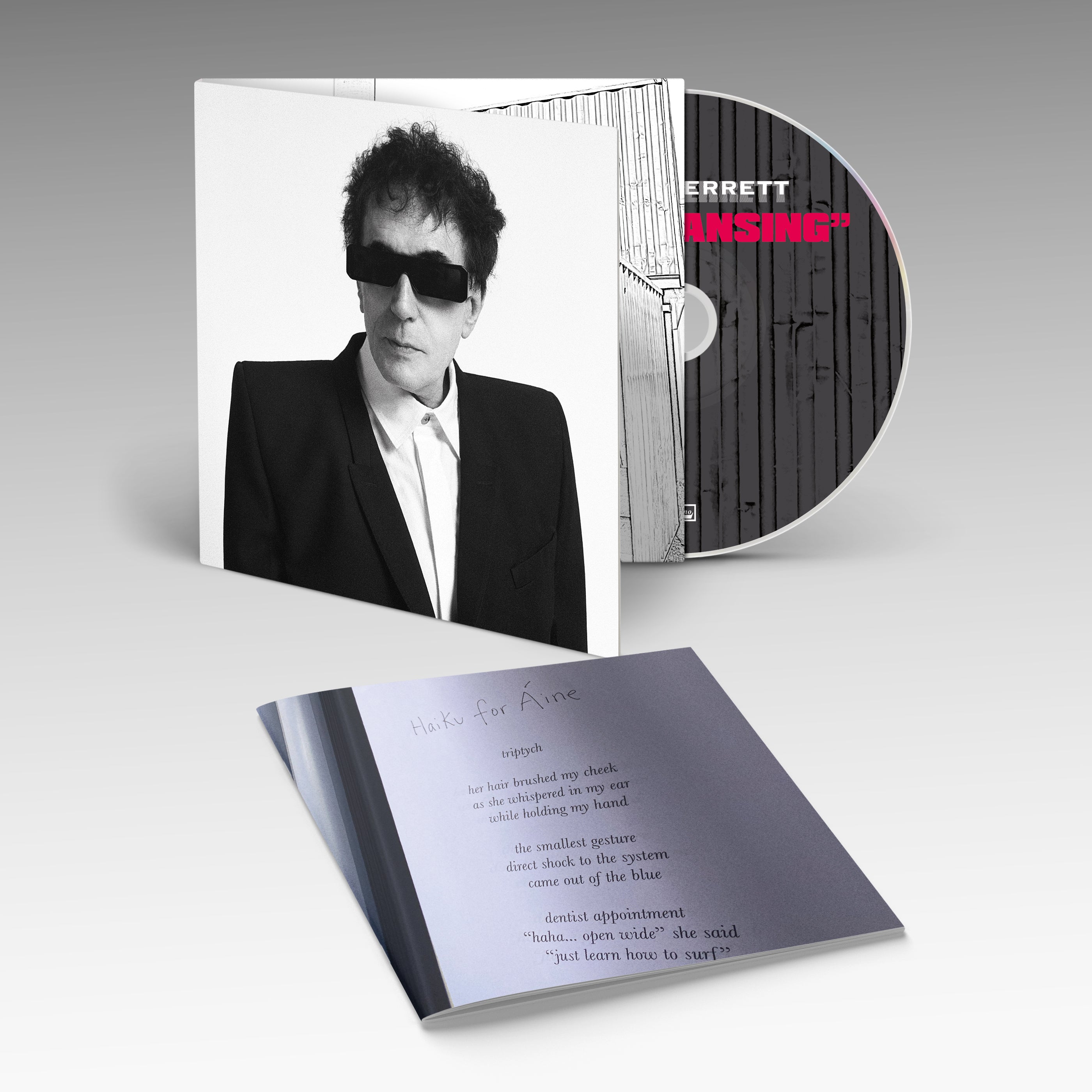 Peter Perrett - The Cleansing: CD