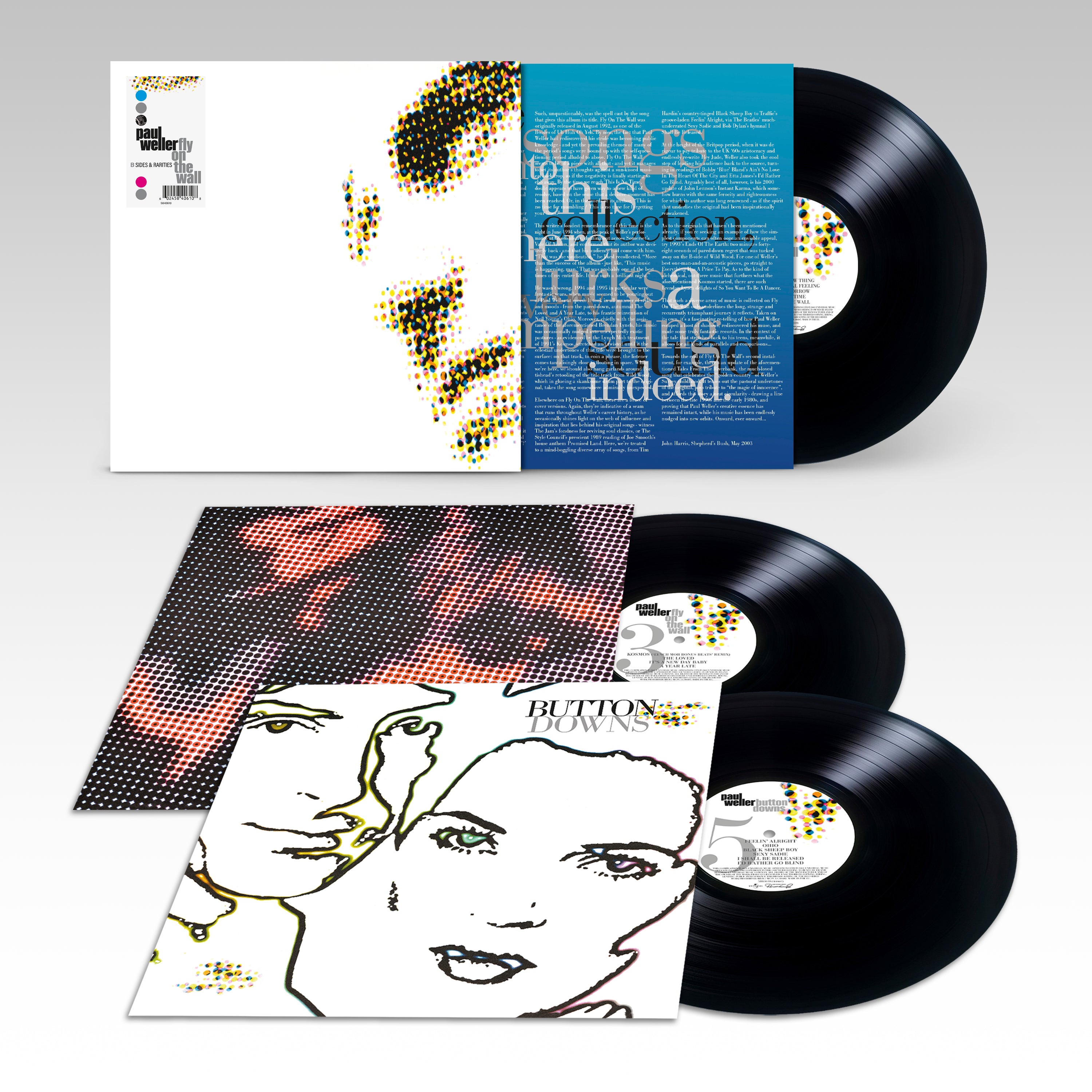 Paul Weller - Fly On The Wall - B-sides & Rarities (1991 - 2001): Vinyl 3LP