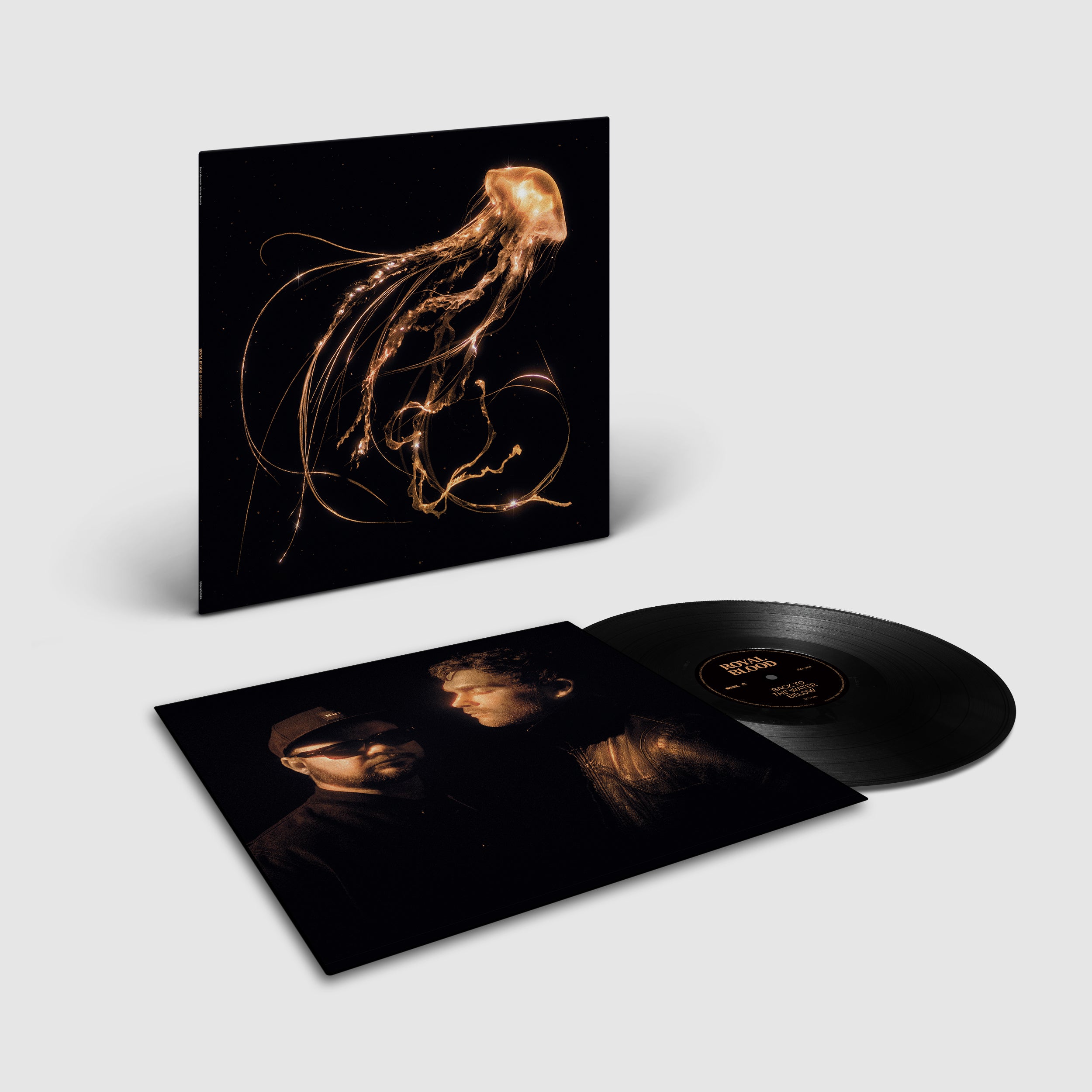 Royal Blood - Back To The Water Below: Vinyl LP 