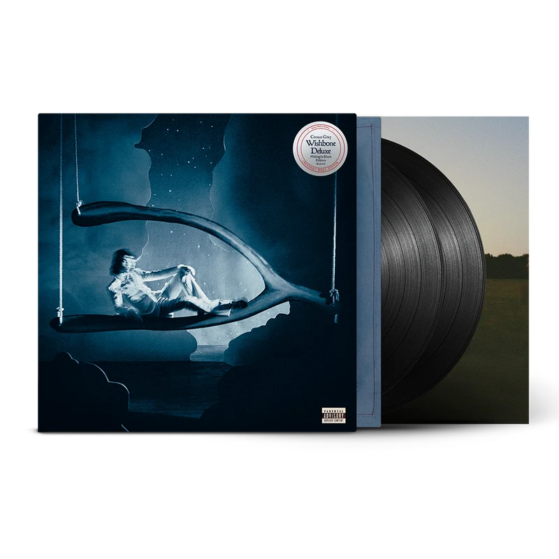 Conan Gray - Wishbone Deluxe 2LP (Midnight Black Edition)