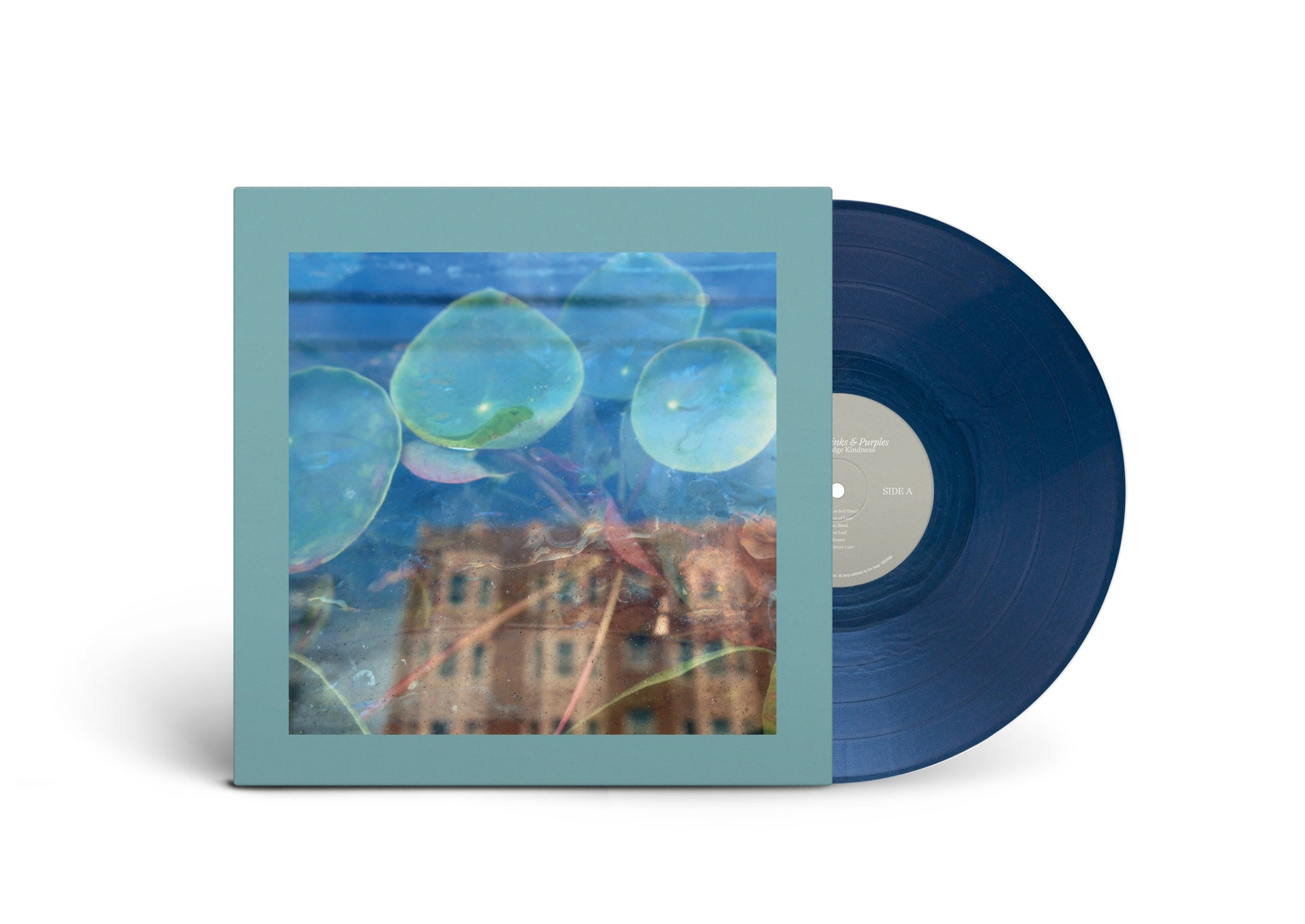 The Reds, Pinks and Purples - Acknowledge Kindness: Dark Cloud Vinyl LP