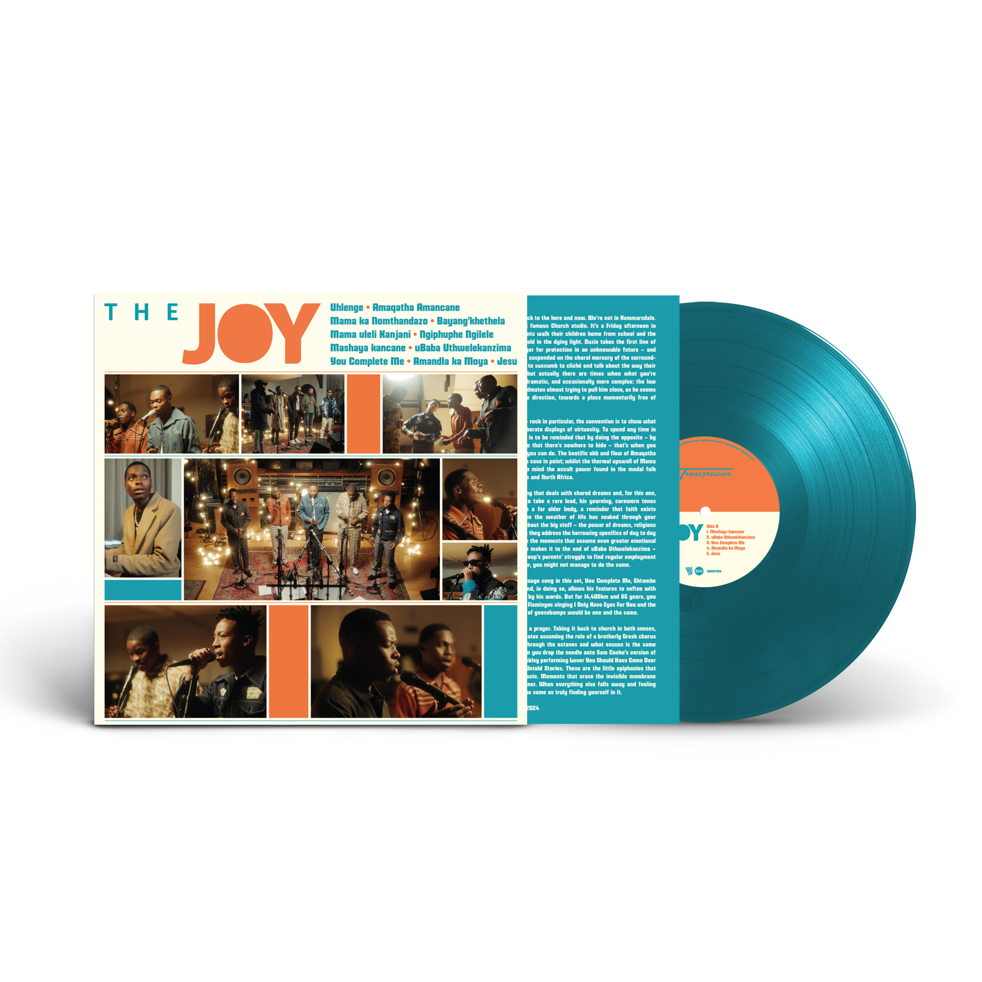 The Joy - The Joy: Vinyl LP