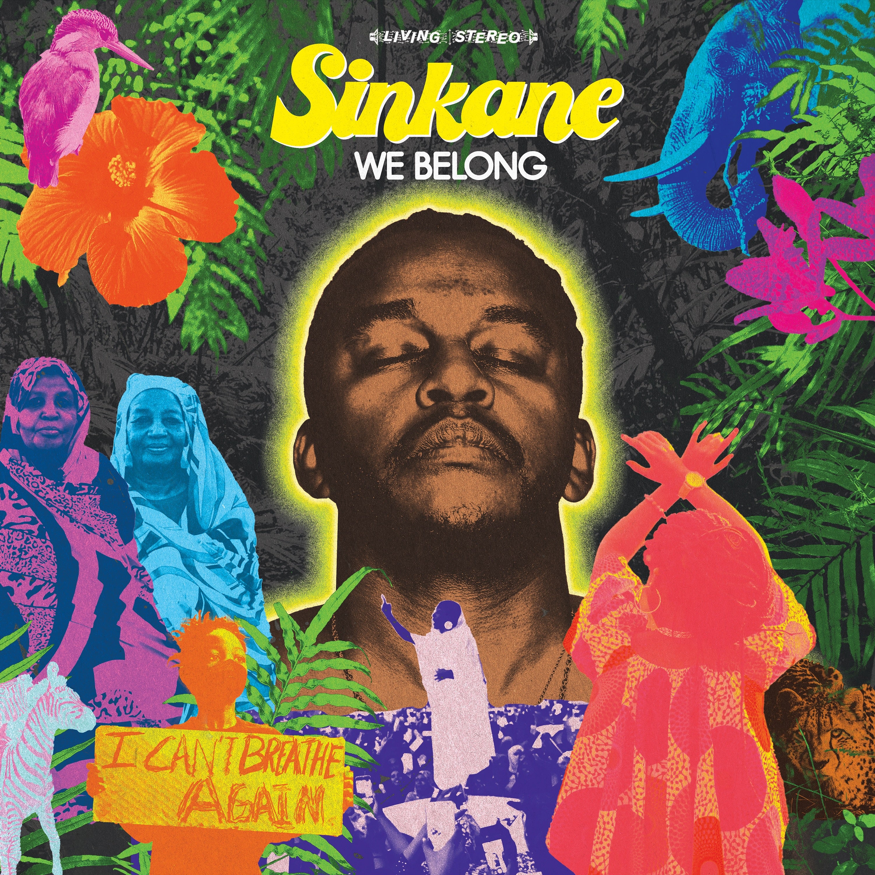 Sinkane - We Belong: Limited Purple Vinyl LP