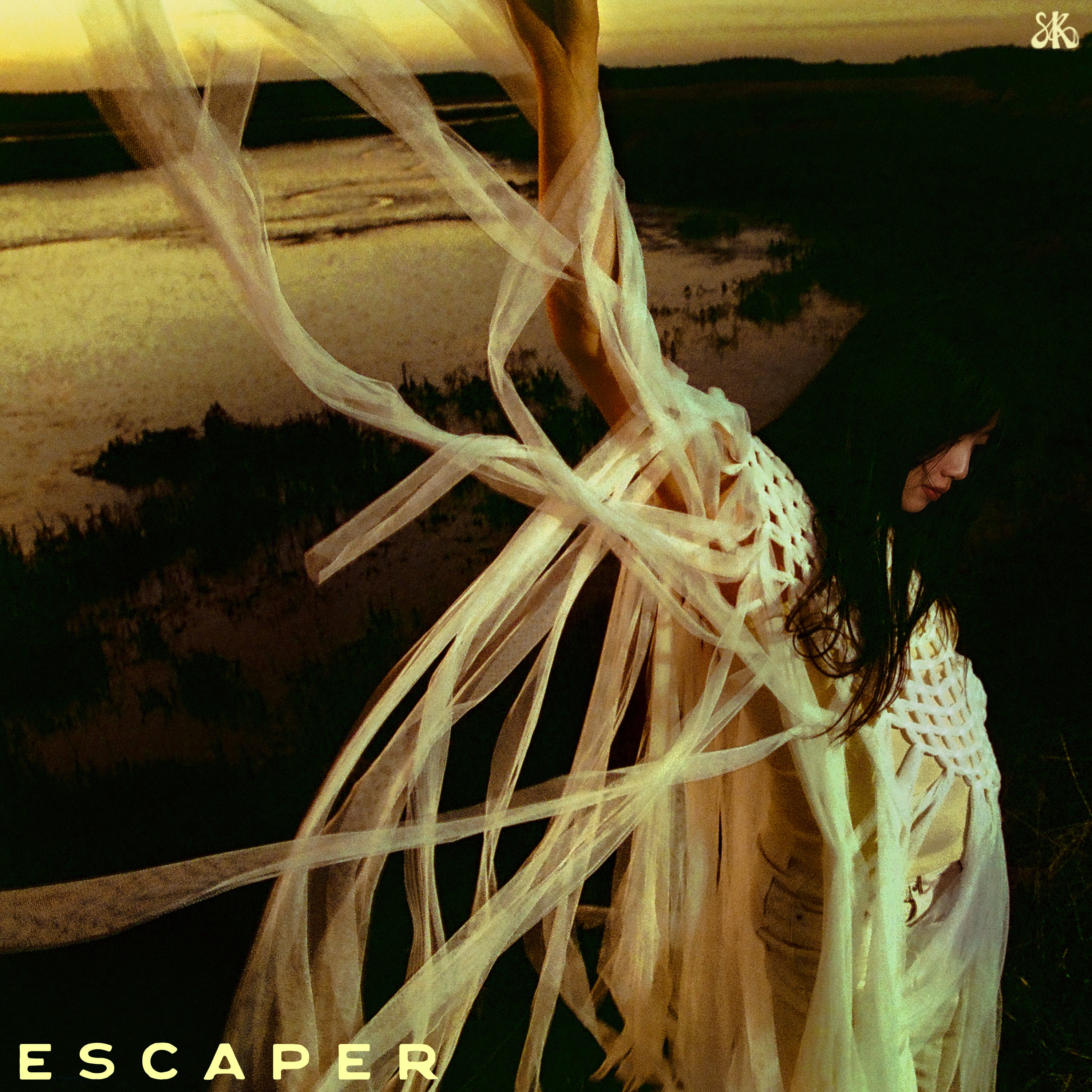 Sarah Kinsley - Escaper: Vinyl LP