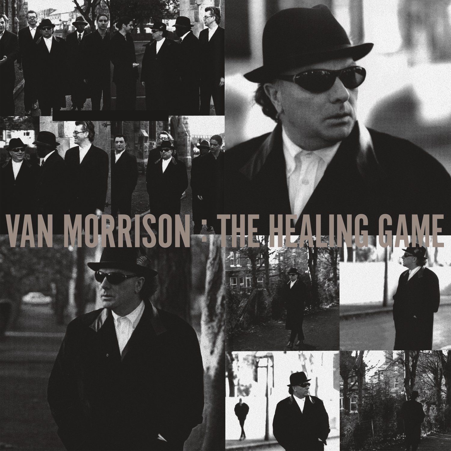 Van Morrison - The Healing Game: Vinyl LP
