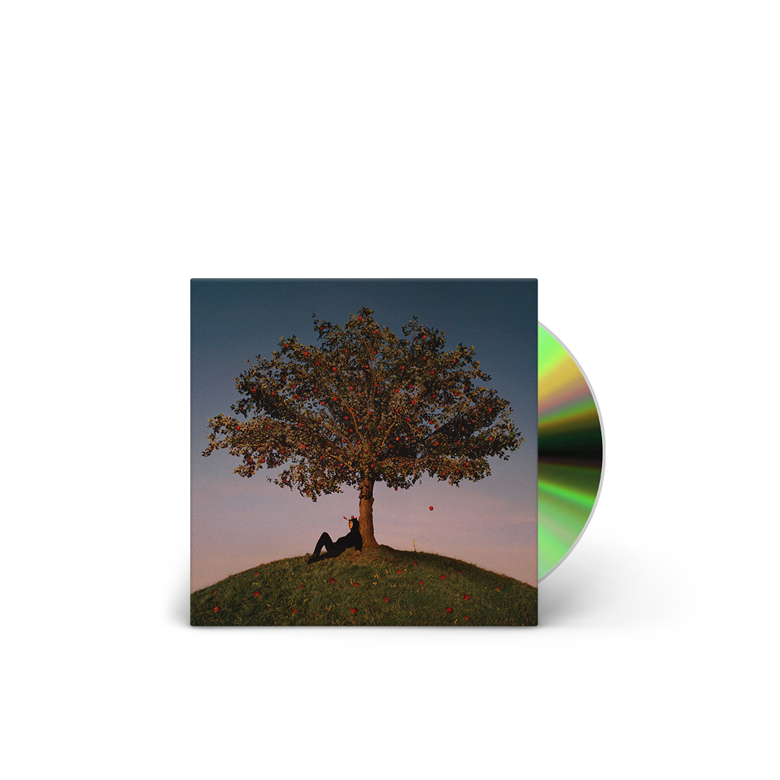 Slowthai - Tyron: CD